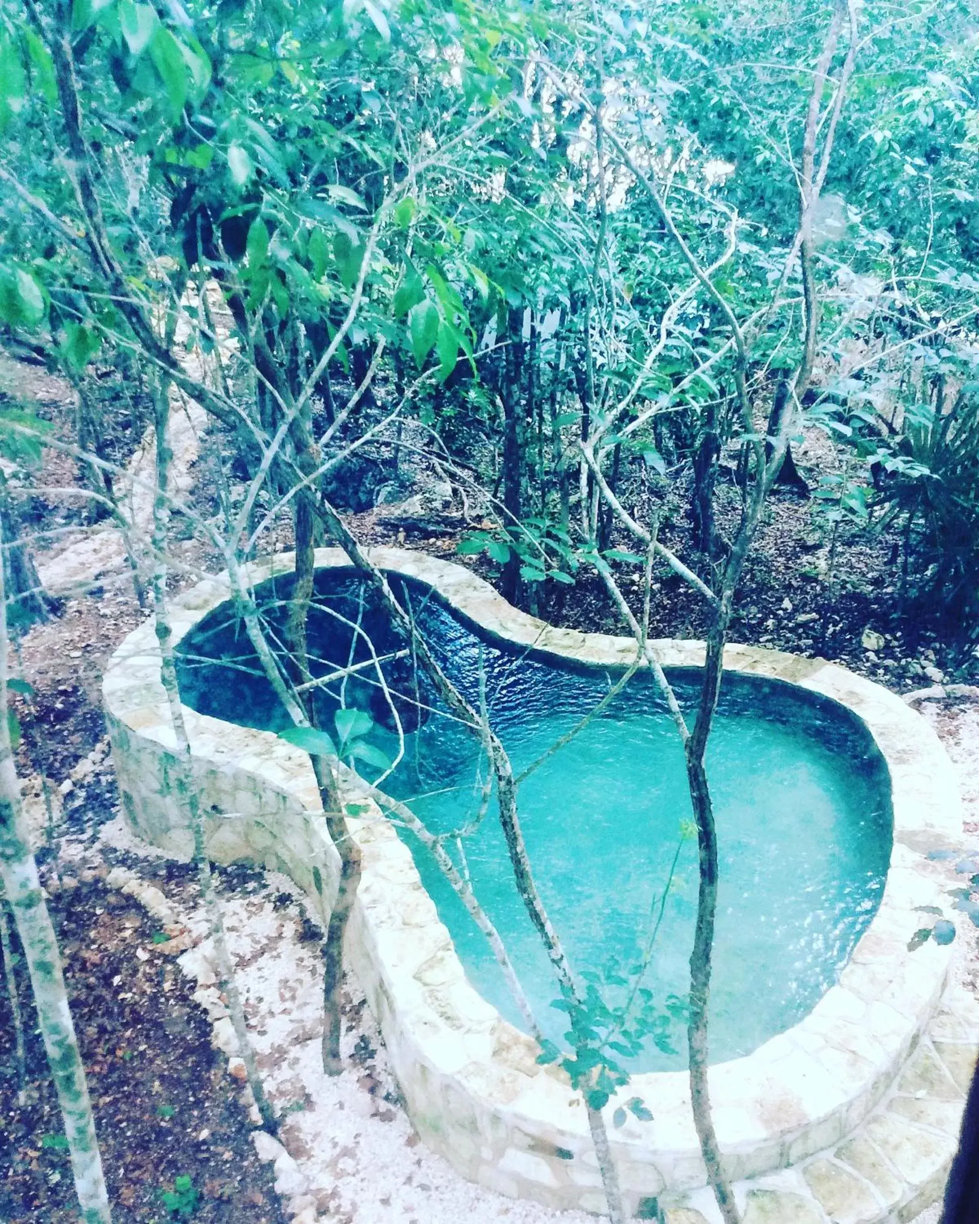 Pool View in Escarabajo Rojo