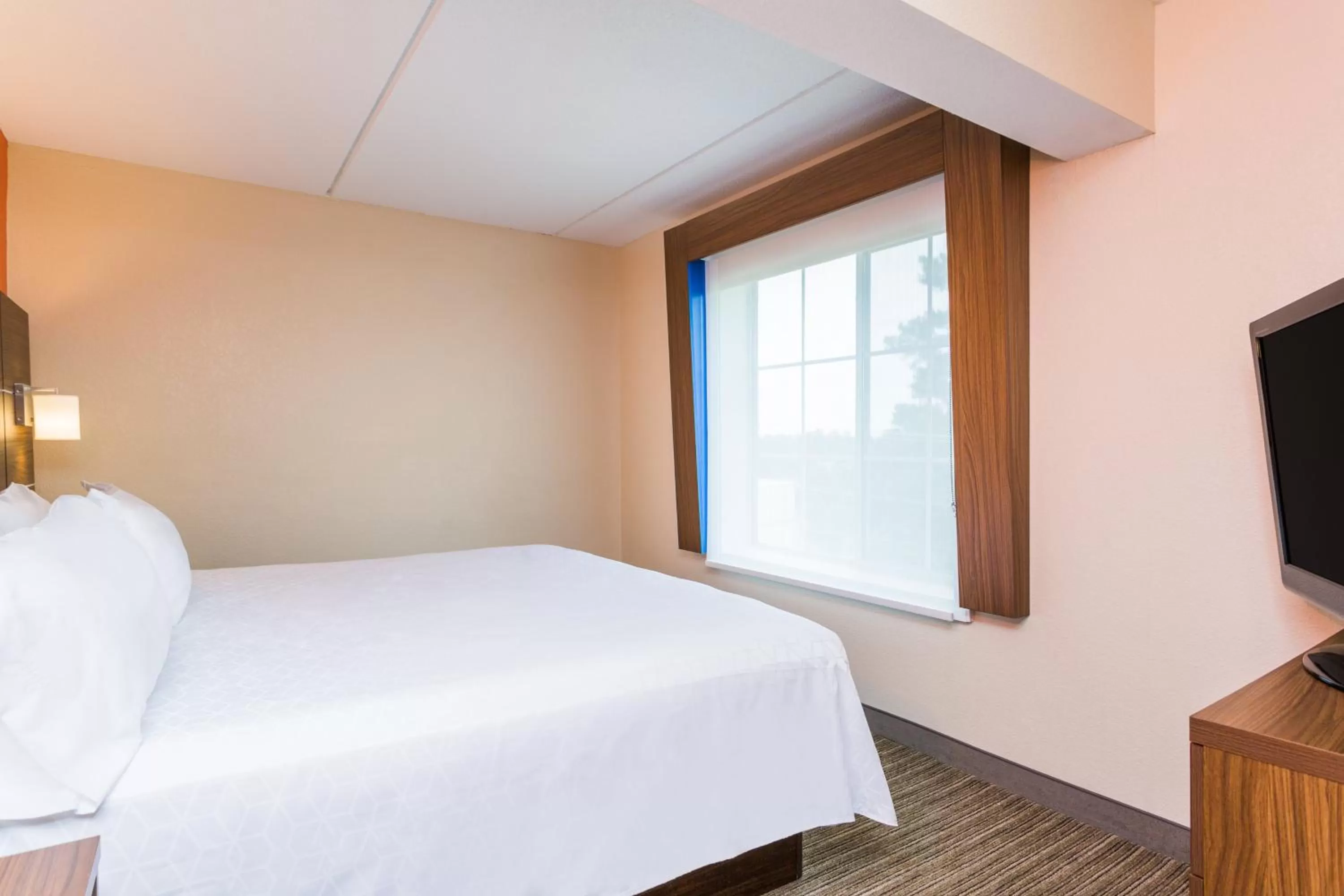 Photo of the whole room, Bed in Holiday Inn Express and Suites - Petersburg - Fort Lee by IHG