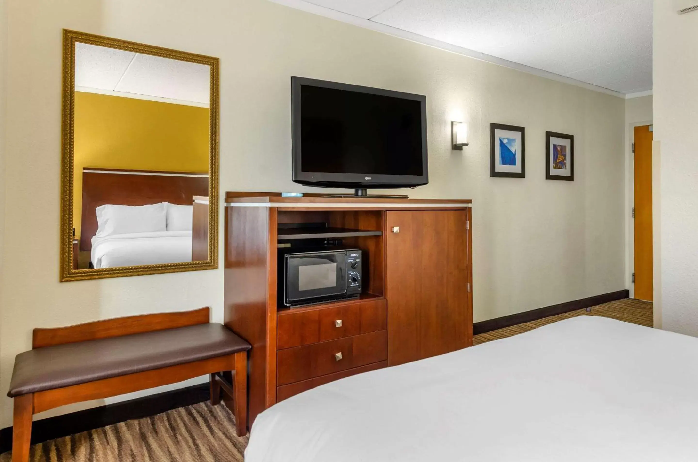 Photo of the whole room, TV/Entertainment Center in Comfort Inn Roanoke Civic Center