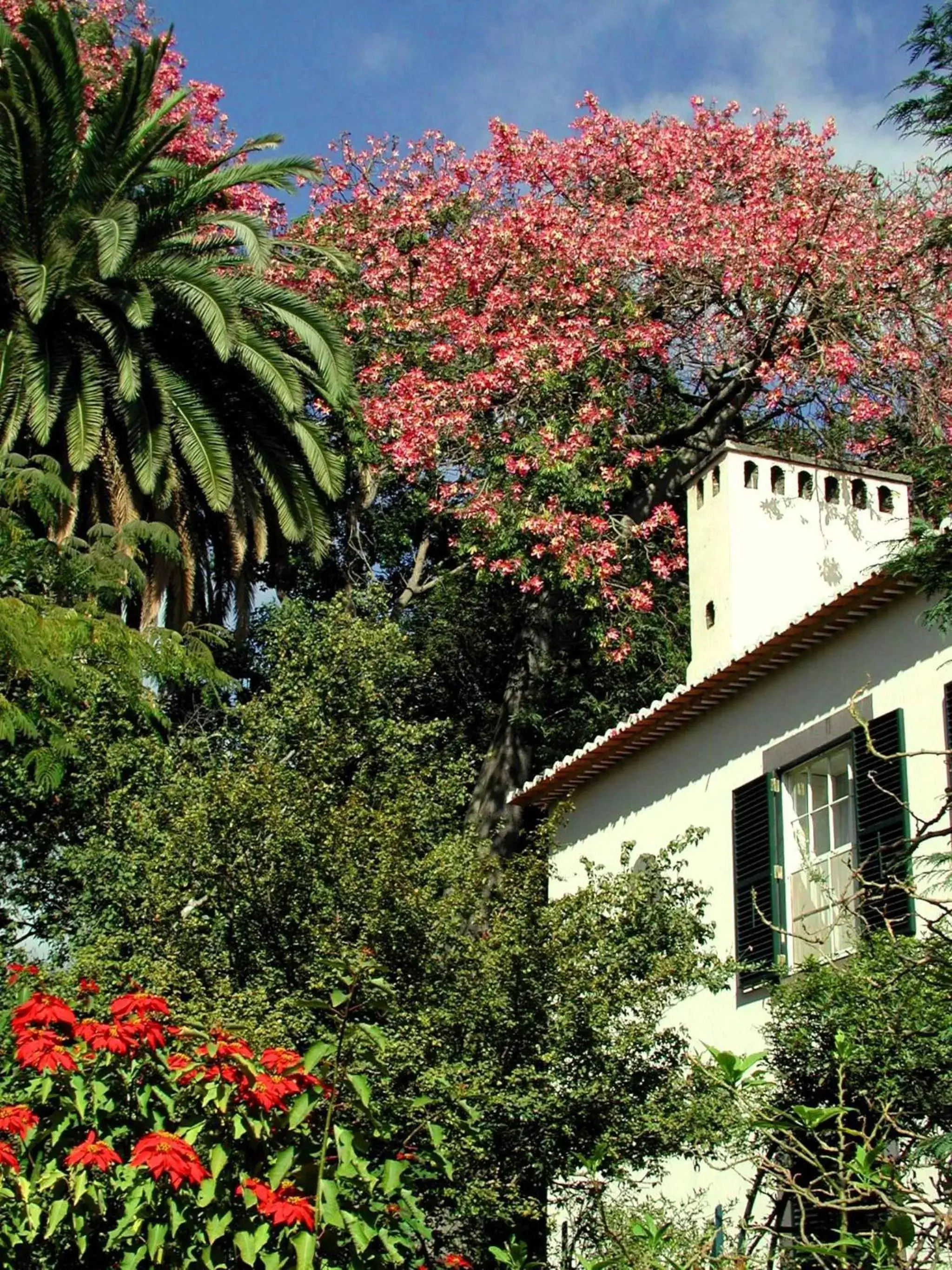 Facade/entrance, Property Building in Quinta da Bela Vista