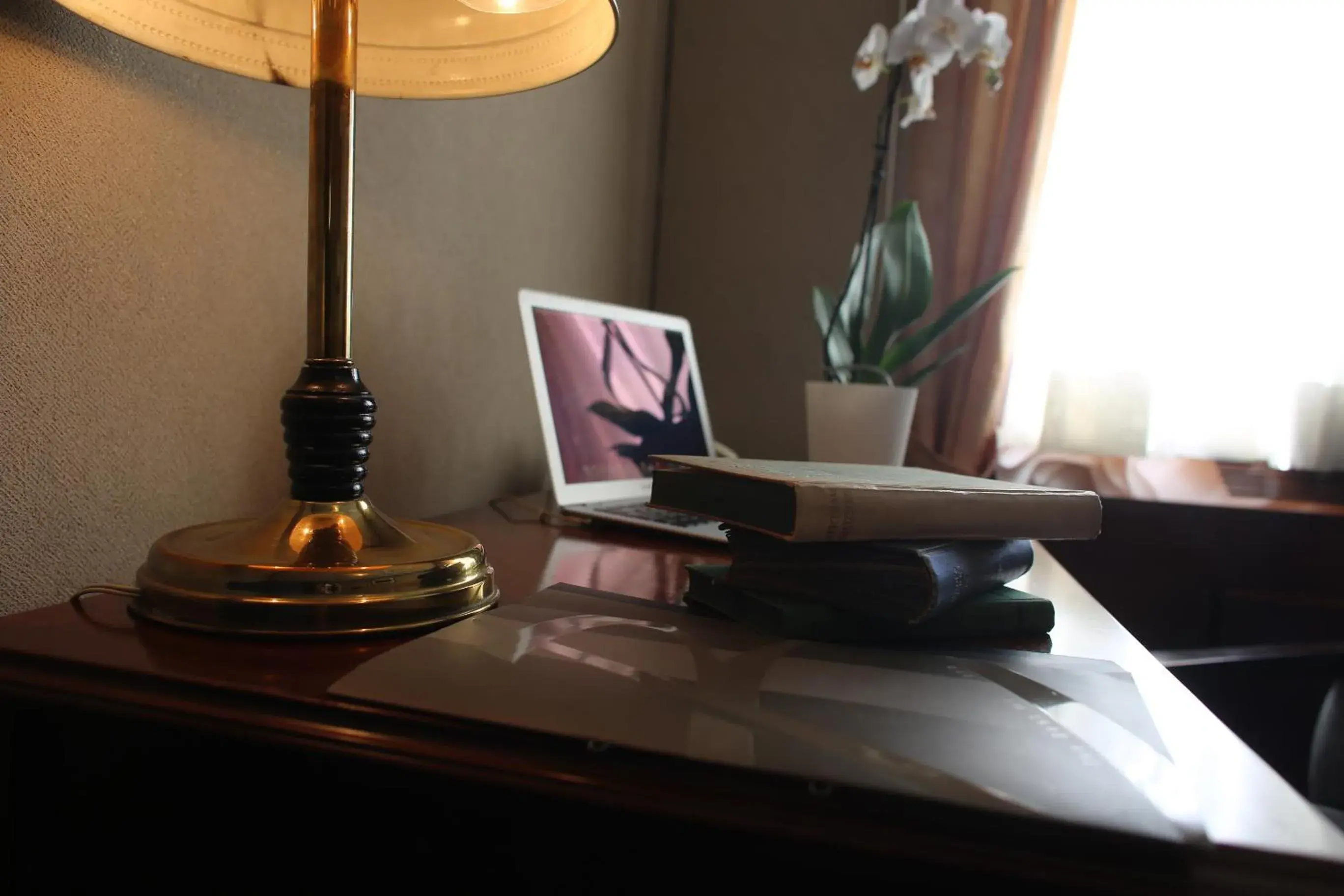 Decorative detail, TV/Entertainment Center in Hotel Best