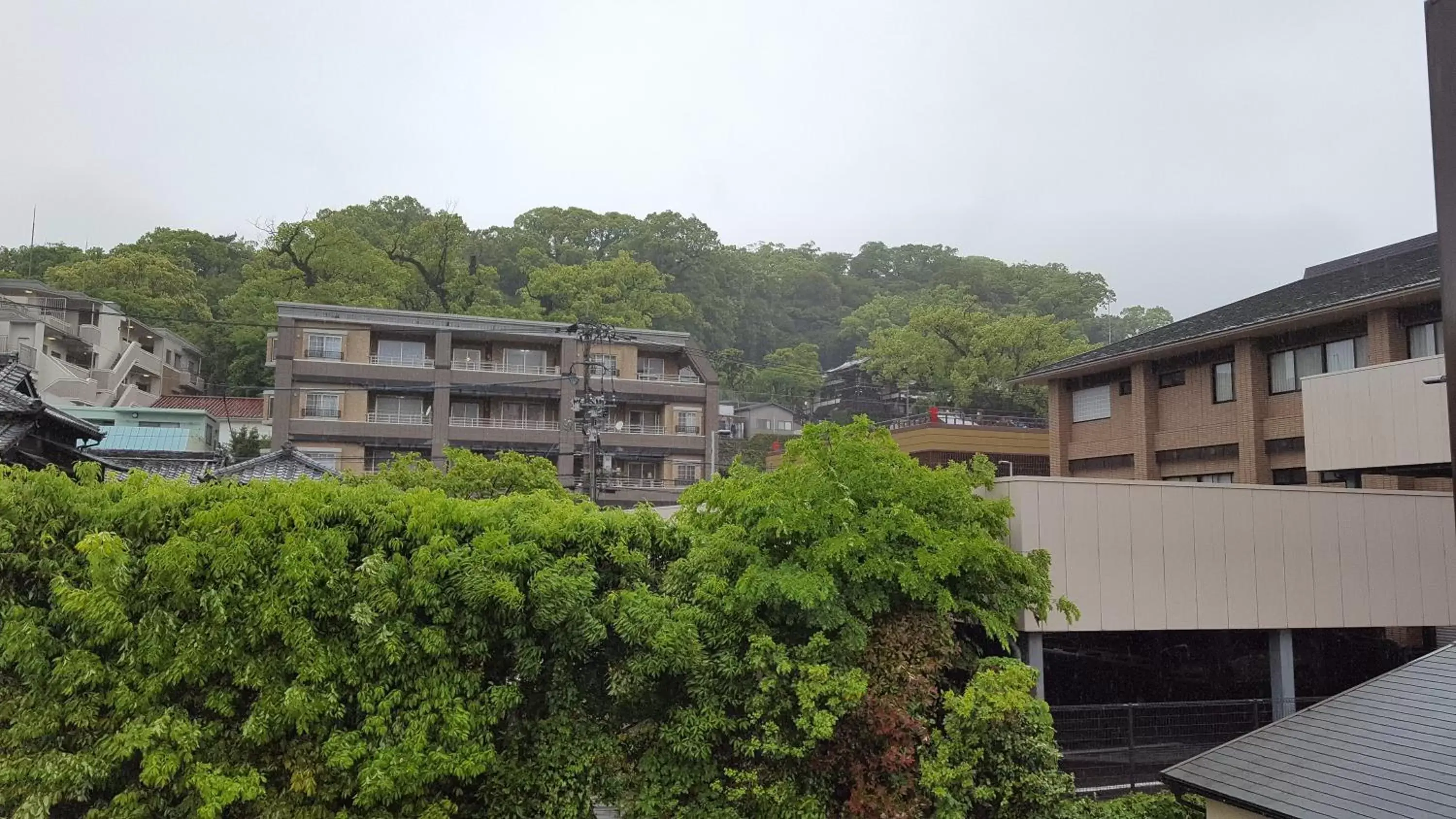 View (from property/room), Property Building in Pension Baden Heim