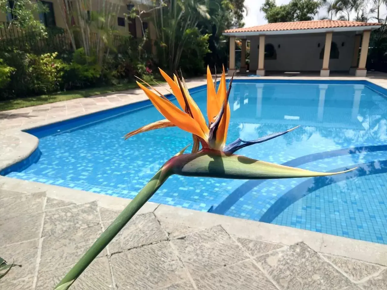 Swimming Pool in Hotel Spa Posada Tlaltenango