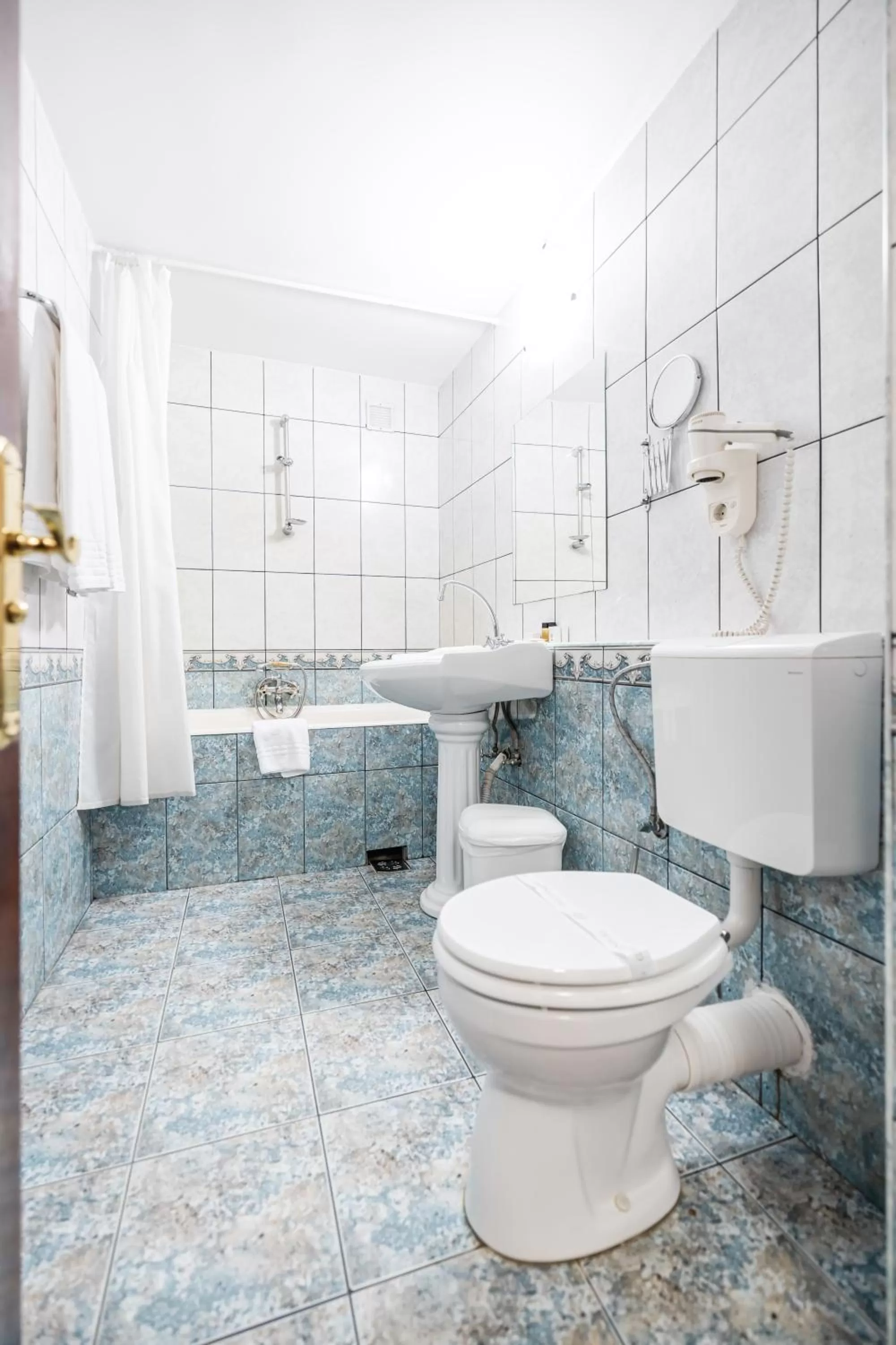 Toilet in Hotel Imparatul Romanilor Hotel & SPA