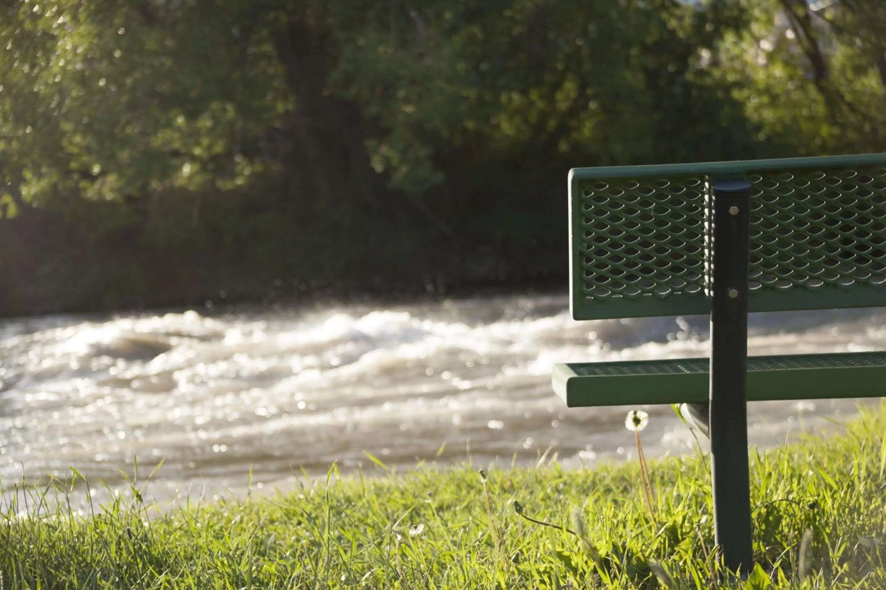 Property building in Super 8 by Wyndham Salmon