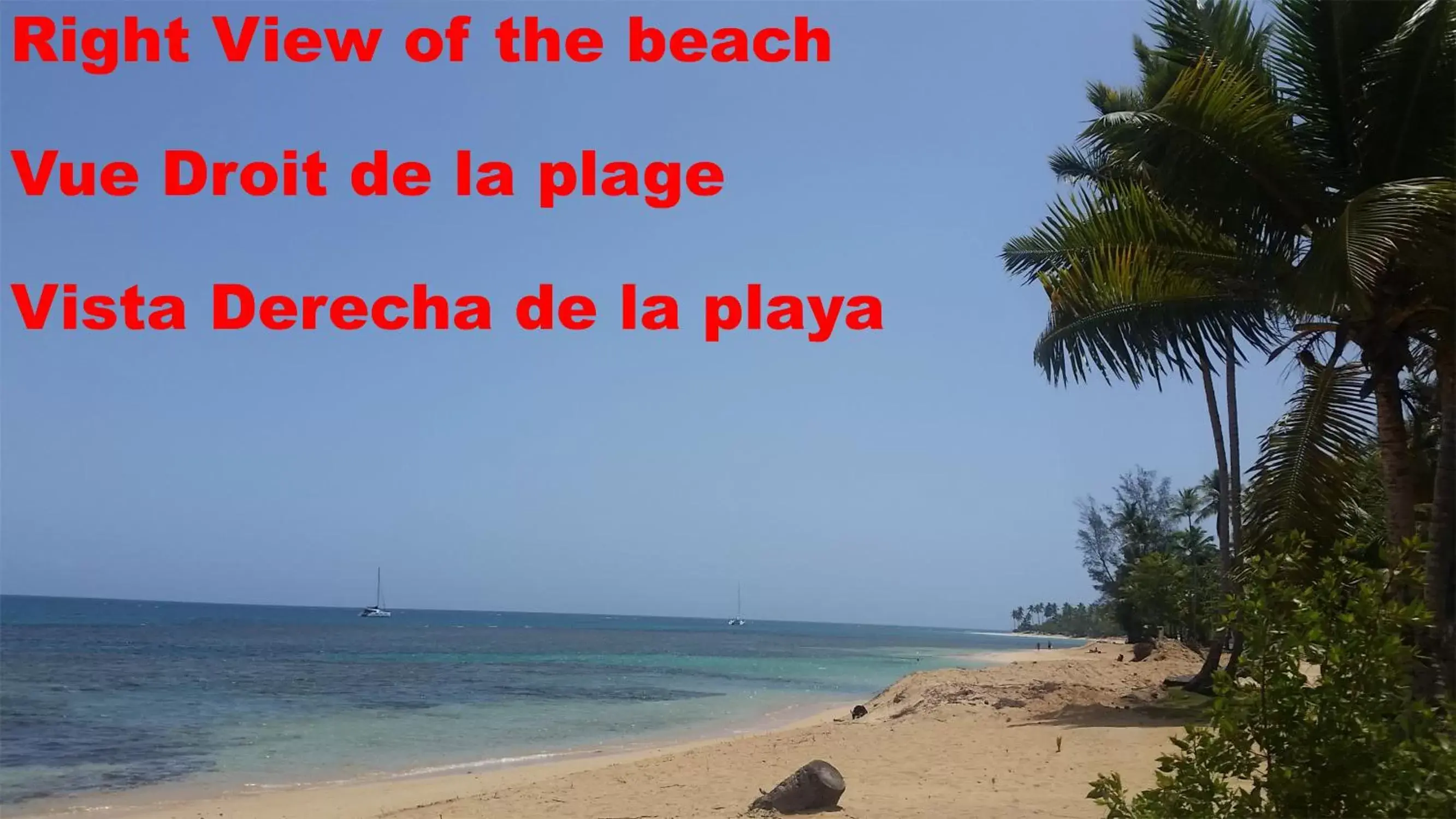 Beach in Casa Picaflor