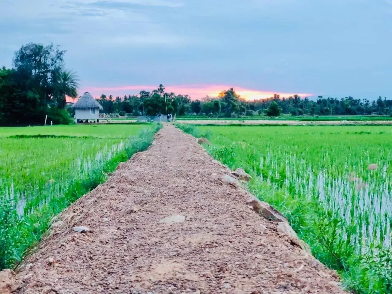 Property building in Marutham Village Resort Property building in Marutham Village Resort