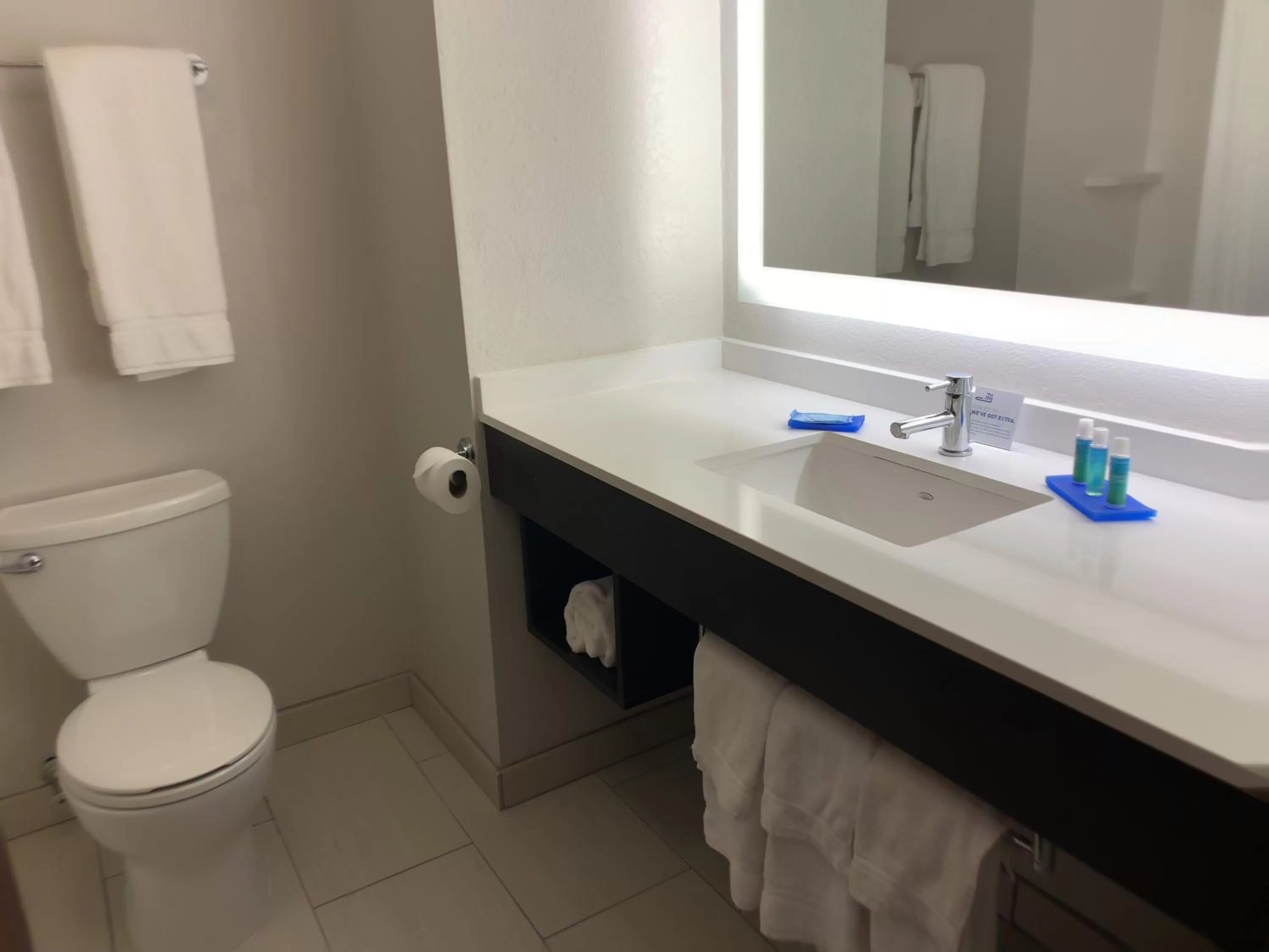 Bathroom in Holiday Inn Express & Suites Exmore - Eastern Shore by IHG