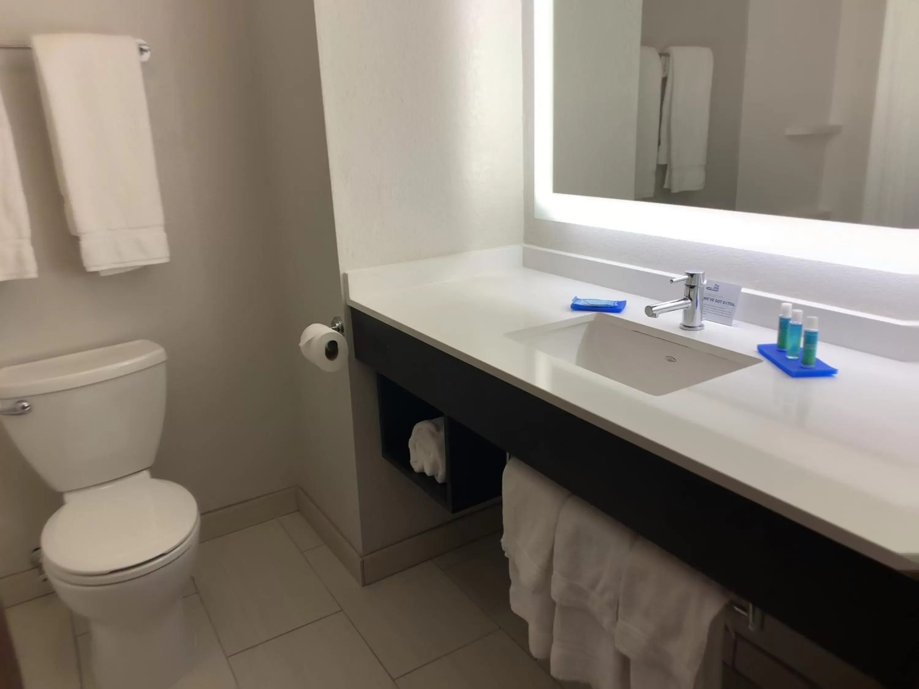 Bathroom in Holiday Inn Express Hotel & Suites Exmore-Eastern Shore, an IHG Hotel