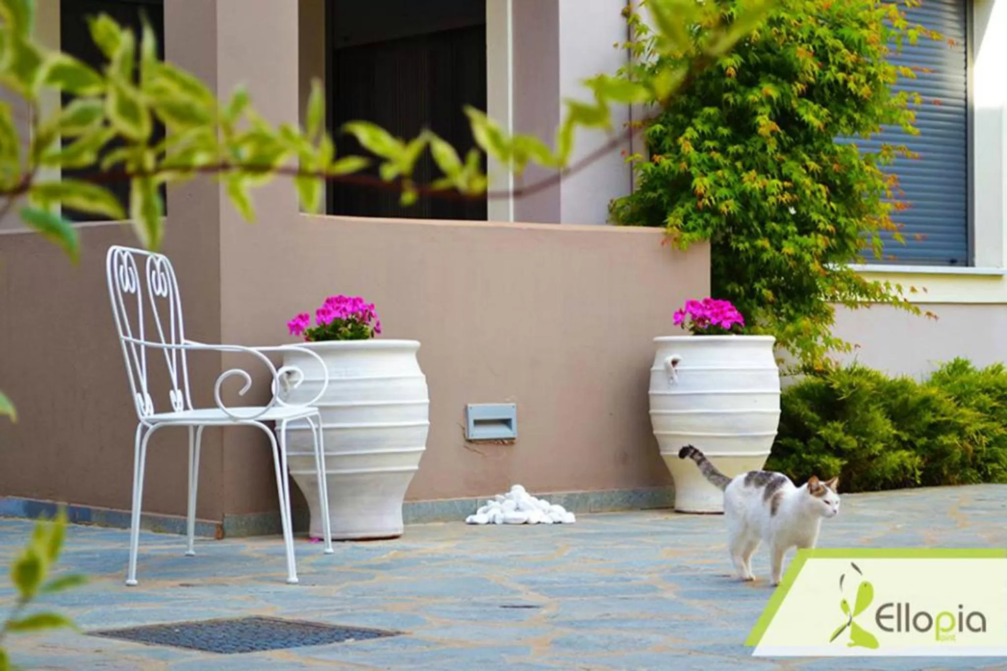 Patio in Ellopia Point Hotel