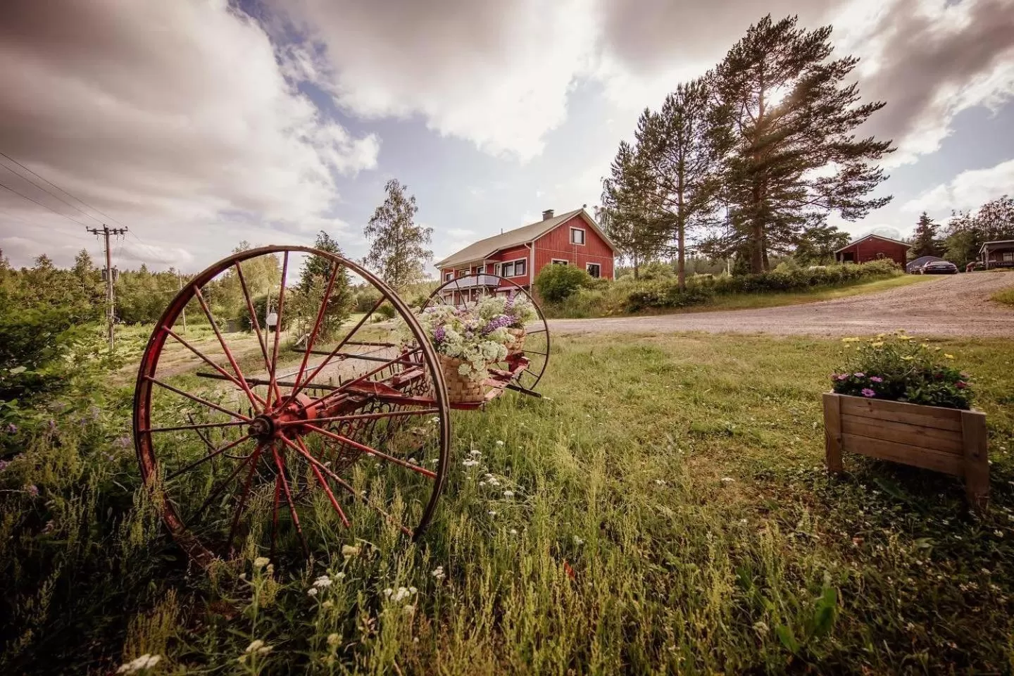 Garden in Lamminmäen Juhla ja Peti