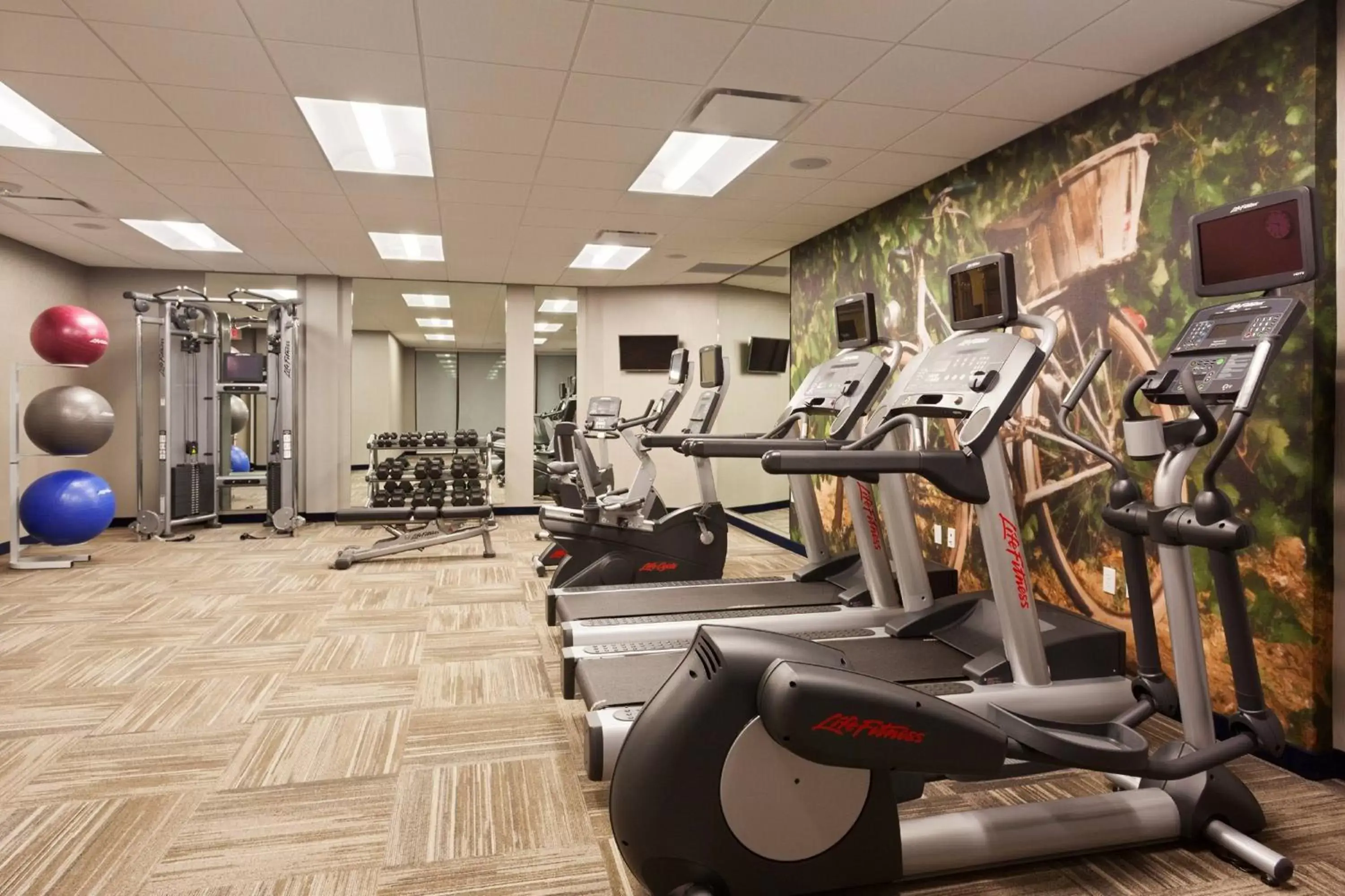 Fitness centre/facilities, Fitness Center/Facilities in SpringHill Suites by Marriott Paso Robles Atascadero