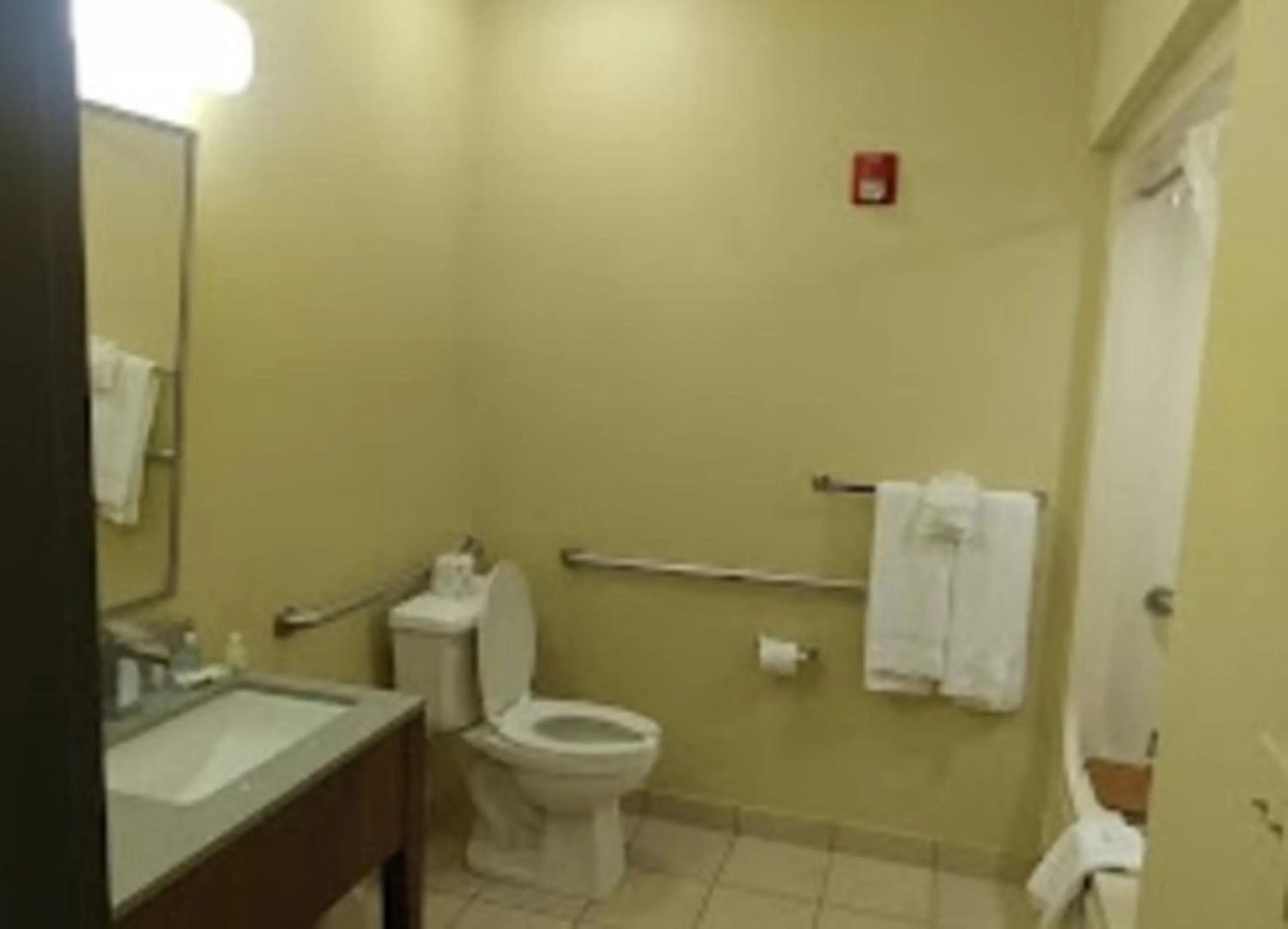 Bathroom in Quality Inn & Suites Roanoke - Fort Worth North