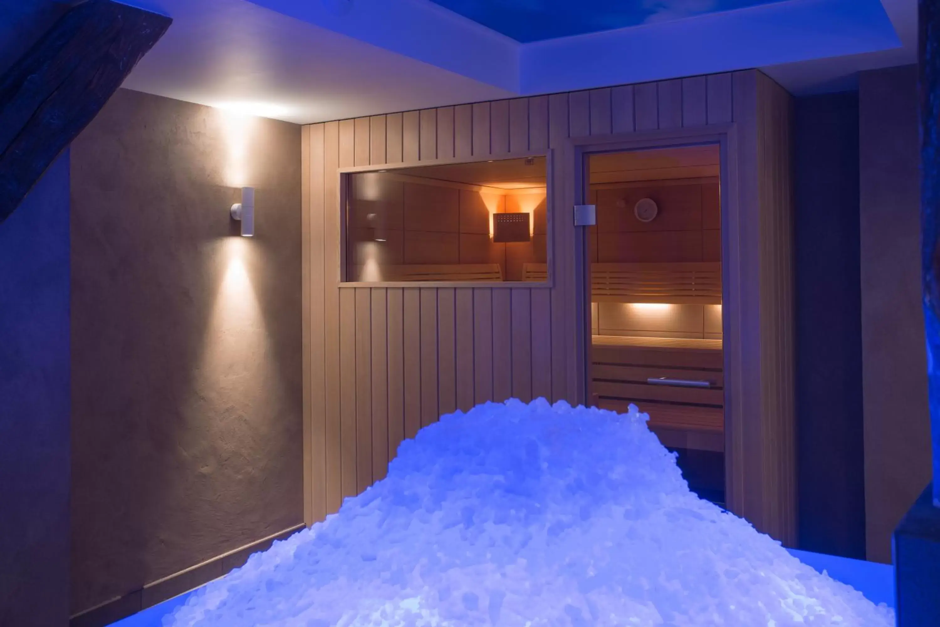 Sauna in Hôtel Le Rapp