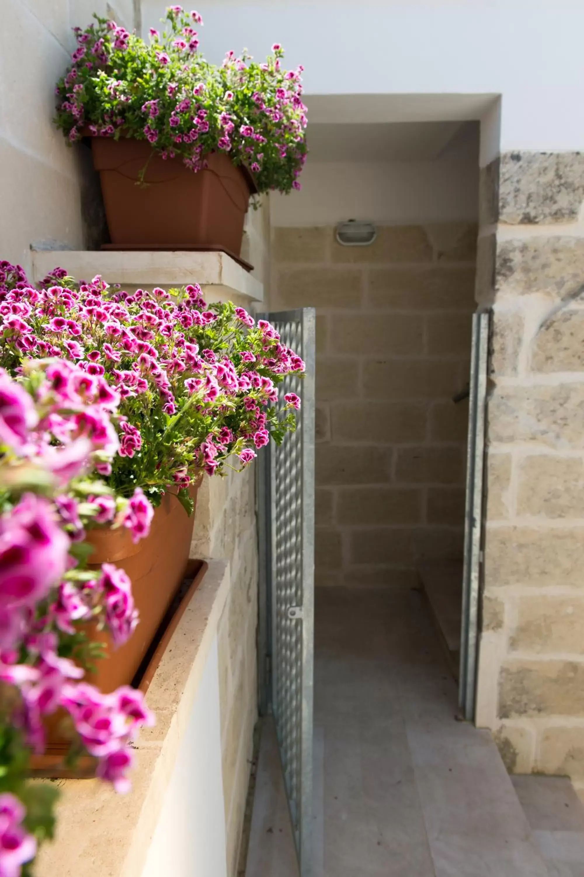 Balcony/Terrace in Lu Caffa by Typney