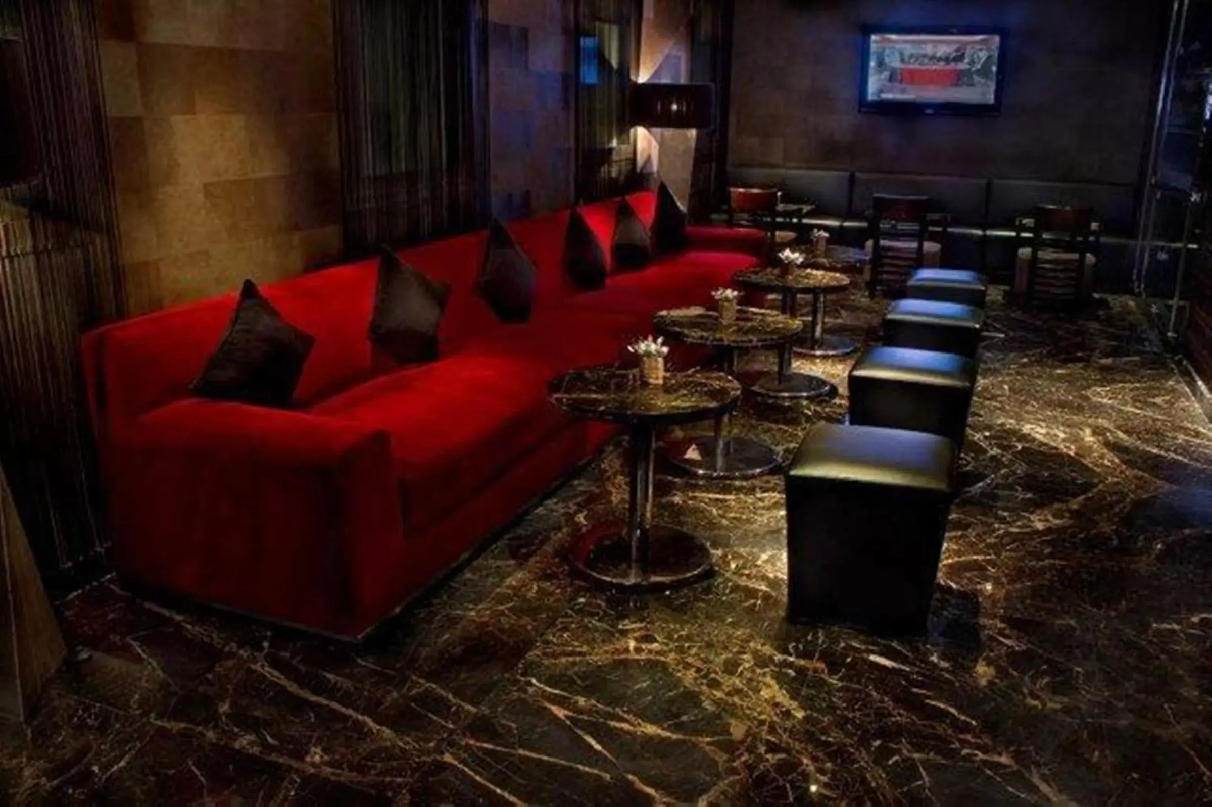 Lounge or bar in Radisson Blu Marina Hotel Connaught Place