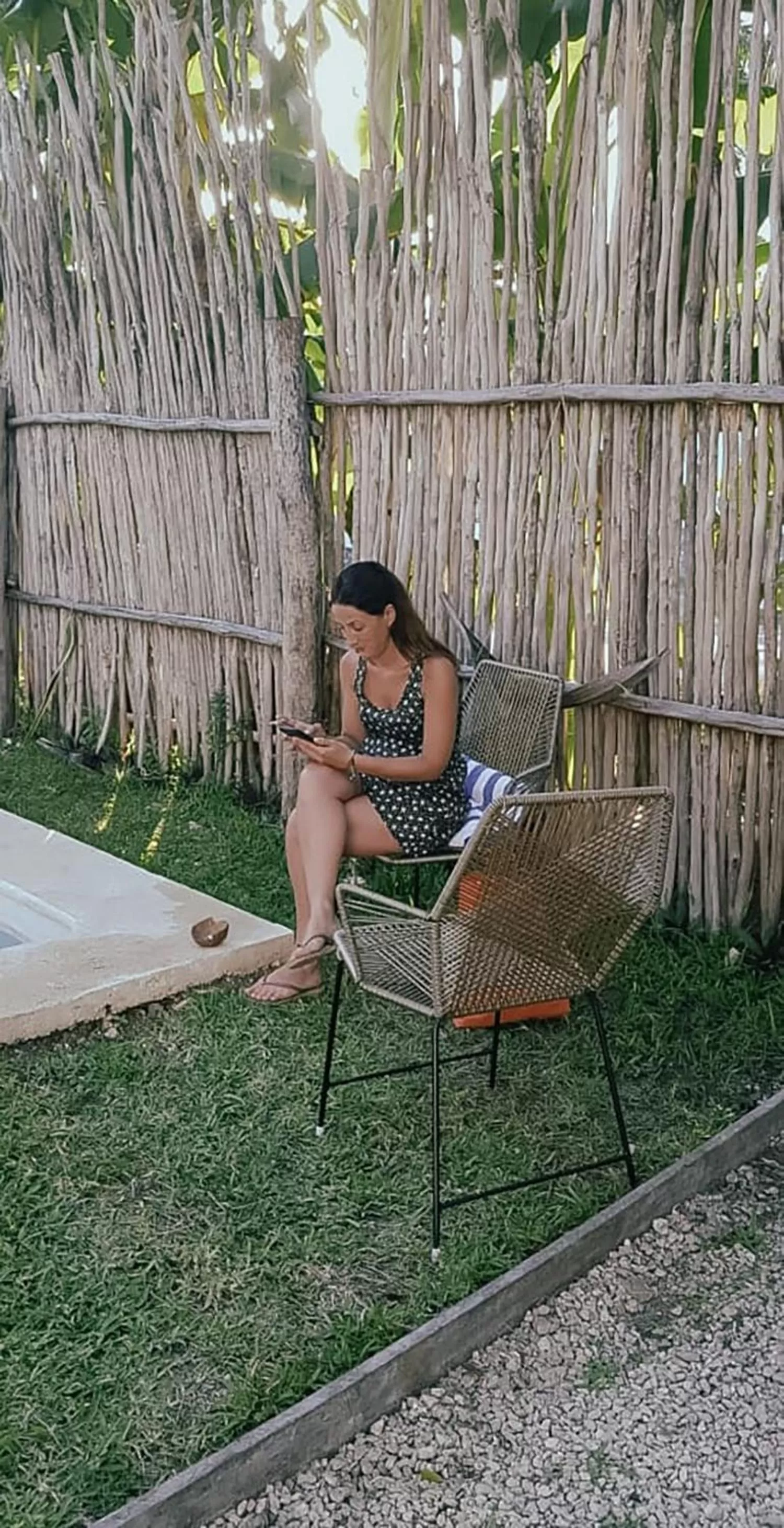 sunbed, Other Animals in Hotel Xa´an Bacalar