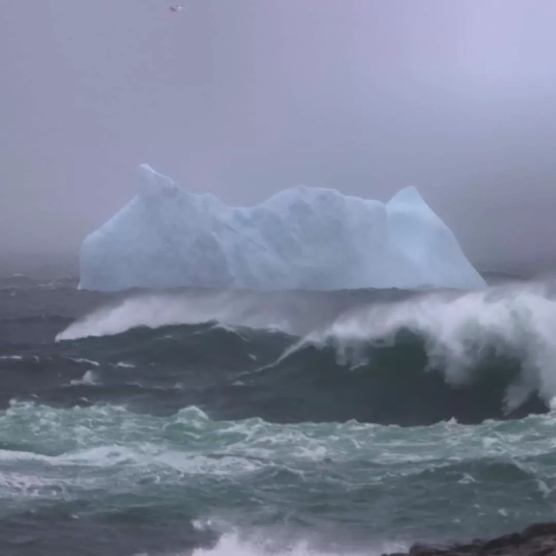 Natural landscape in The Harbourside Inn & Cafe