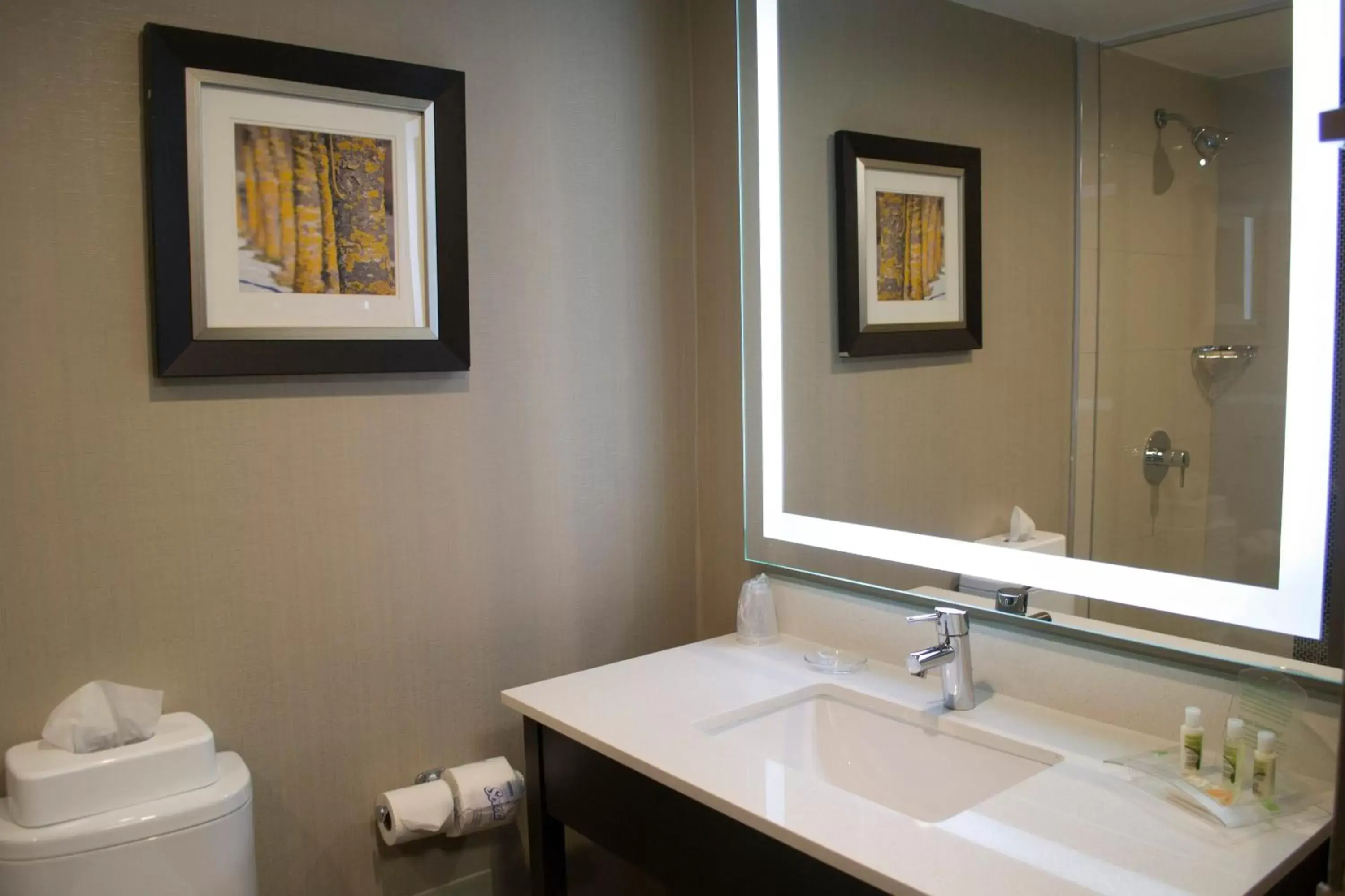 Photo of the whole room, Bathroom in Holiday Inn Sudbury, an IHG Hotel