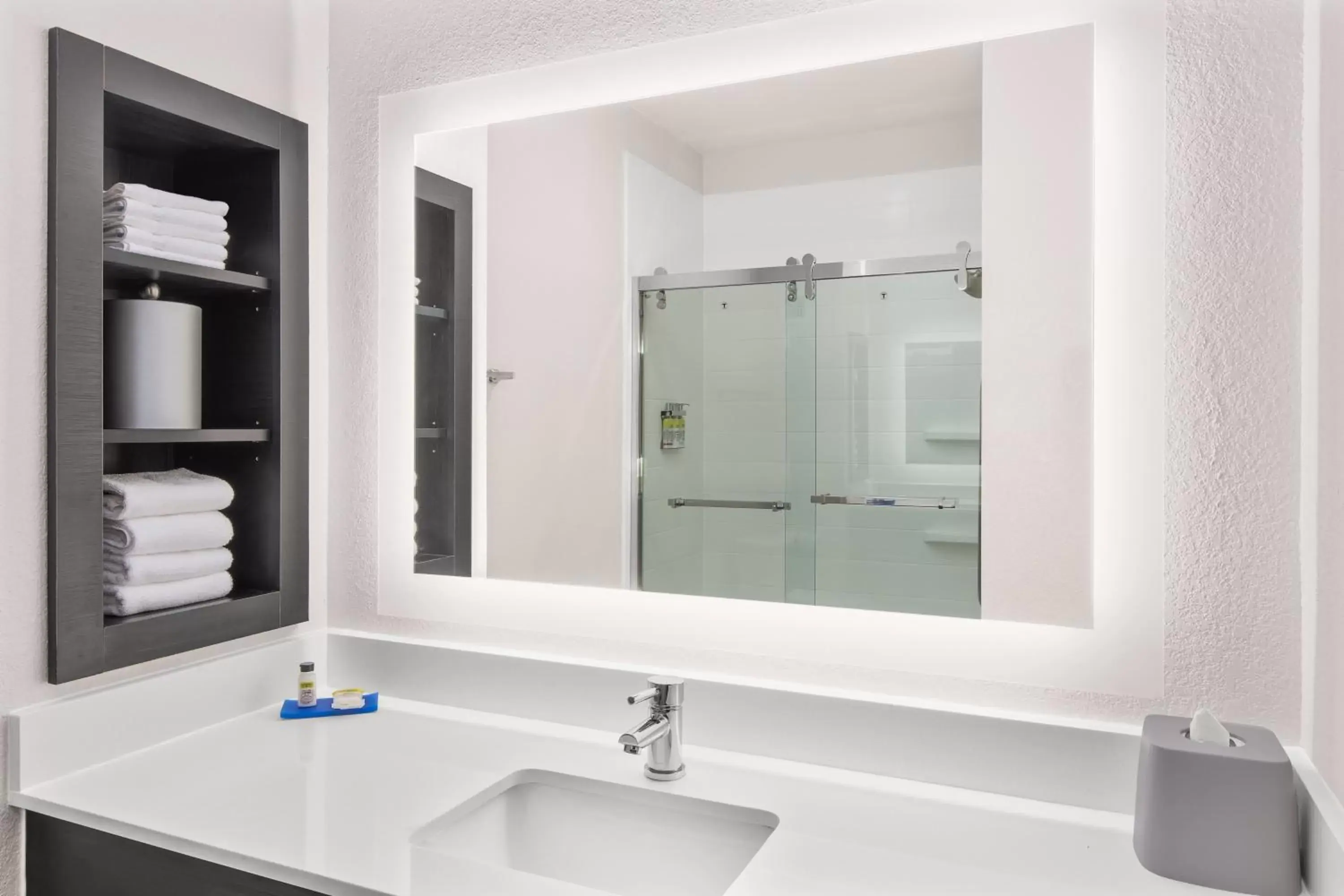 Bathroom in Holiday Inn Express Hotel & Suites Greenville-I-85 & Woodruff Road, an IHG Hotel