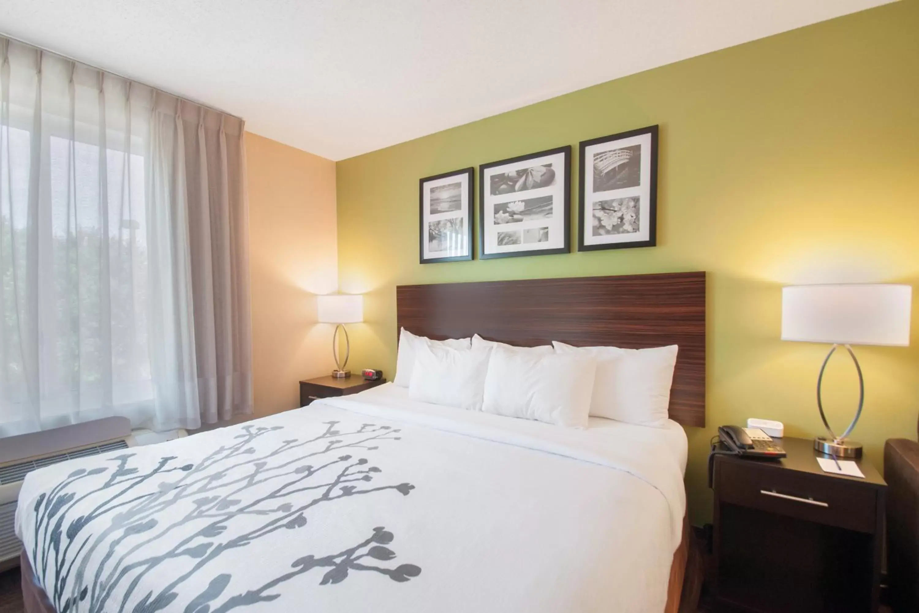 Bedroom, Bed in Sleep Inn & Suites Dover