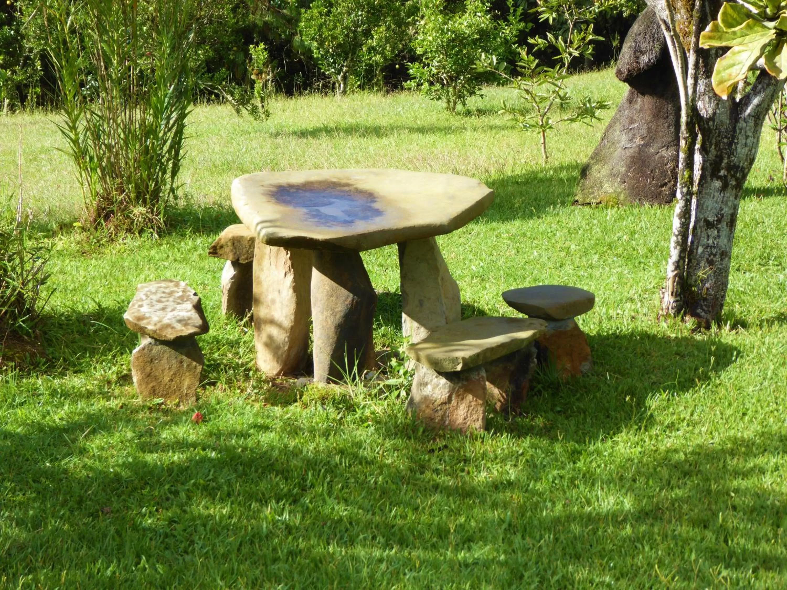 Garden in Finca El Cielo