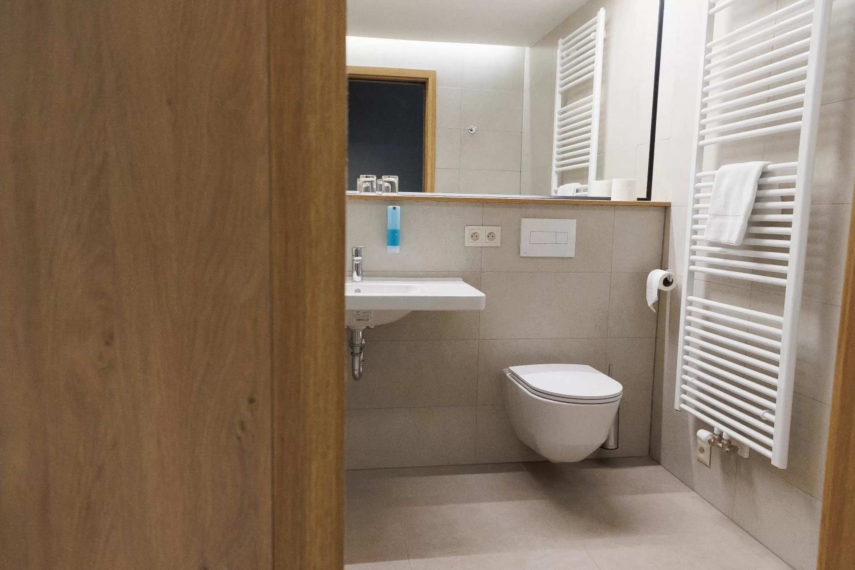 Bathroom in Avenue Pallova 28