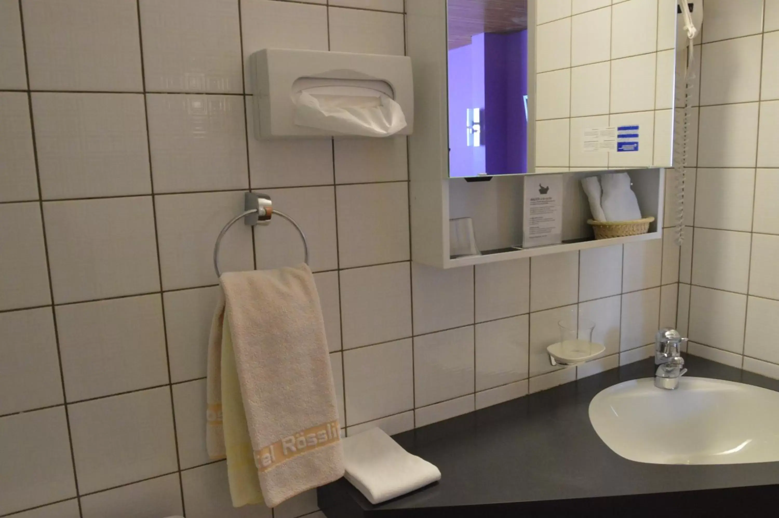 Toilet, Bathroom in Hotel Garni Rösslipost