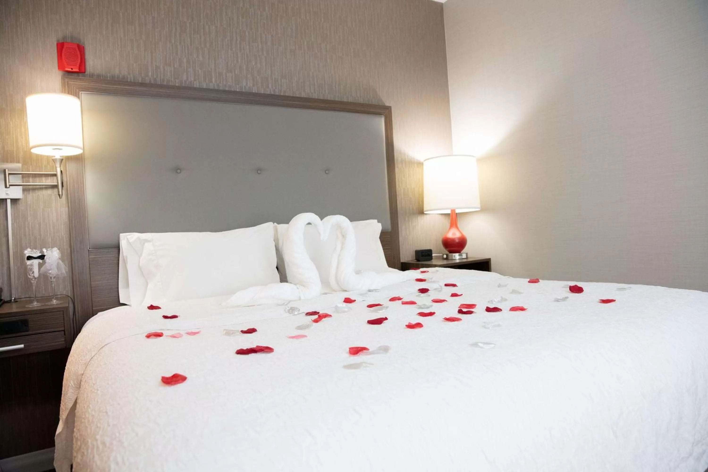 Bed in Hampton Inn Toledo Oregon