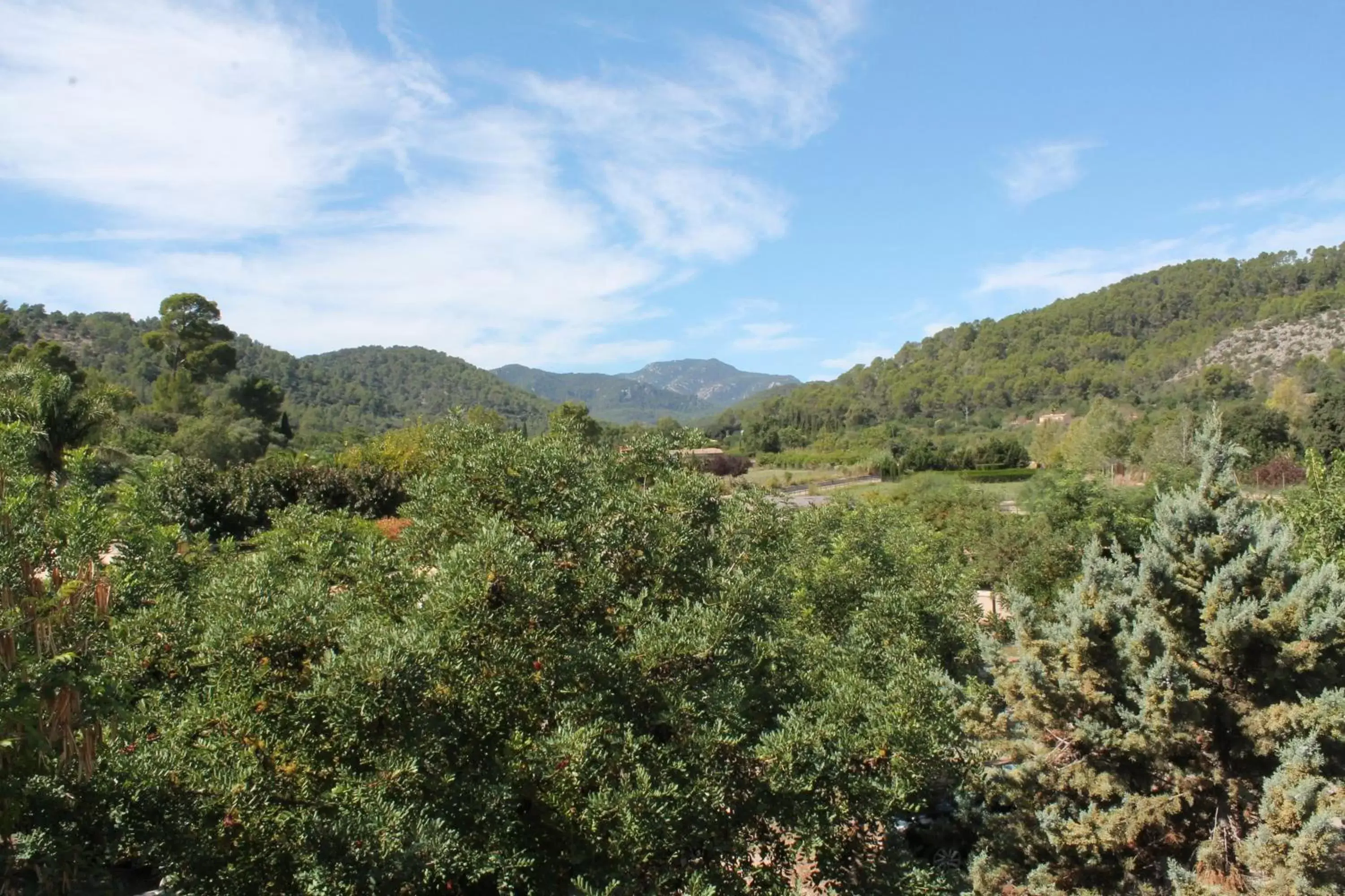 Area and facilities, Mountain View in loftOtel canet