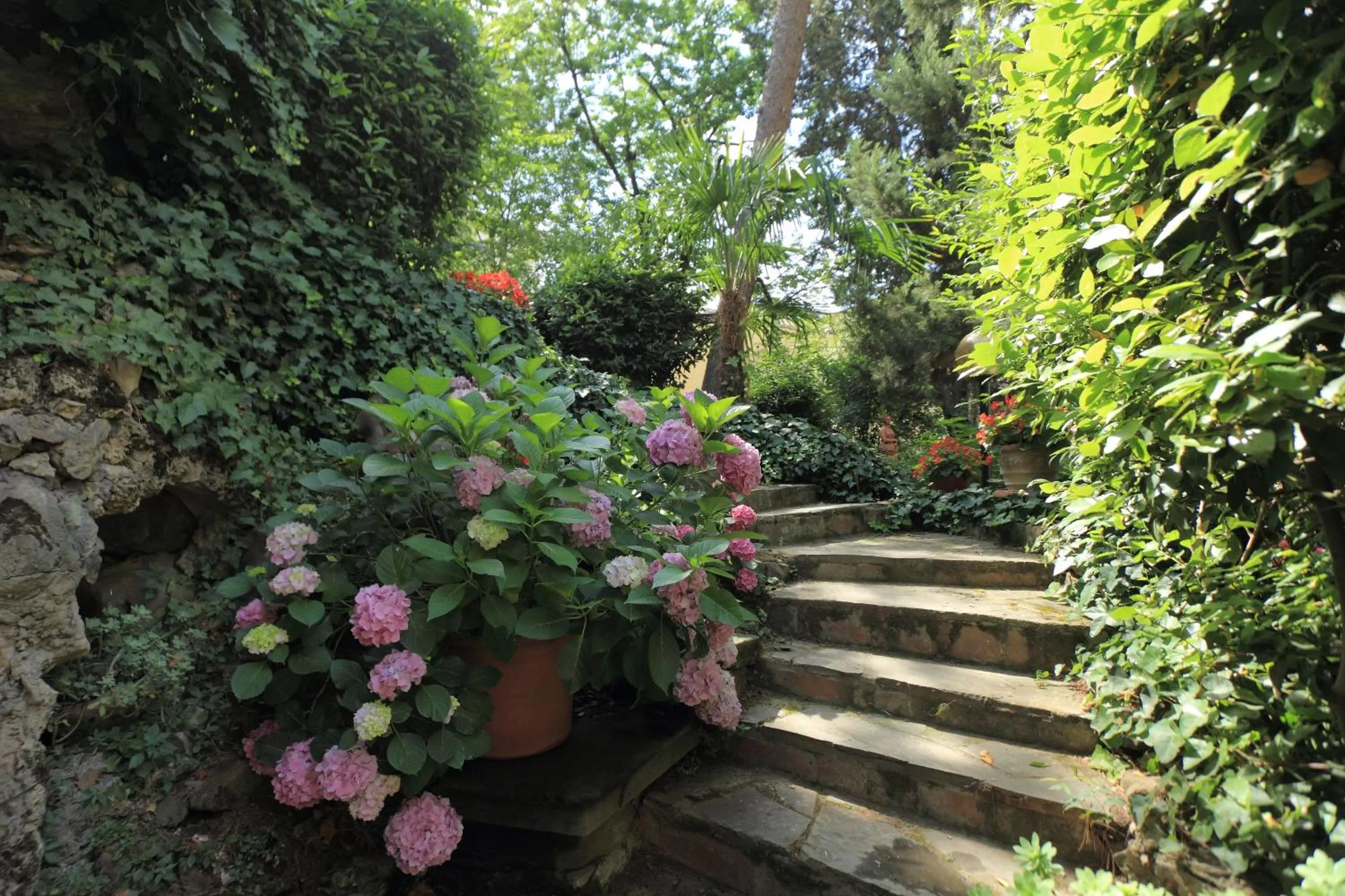 Garden in Hotel Villa Liana