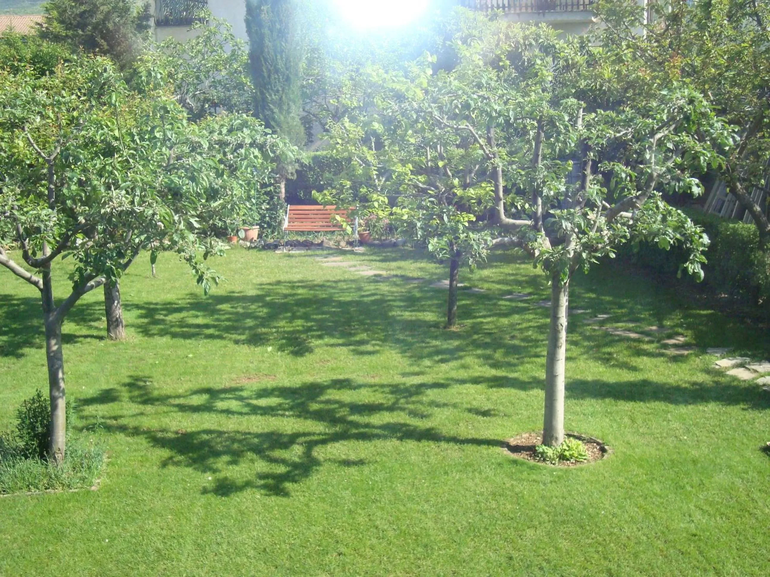 Garden in B&B Esperança