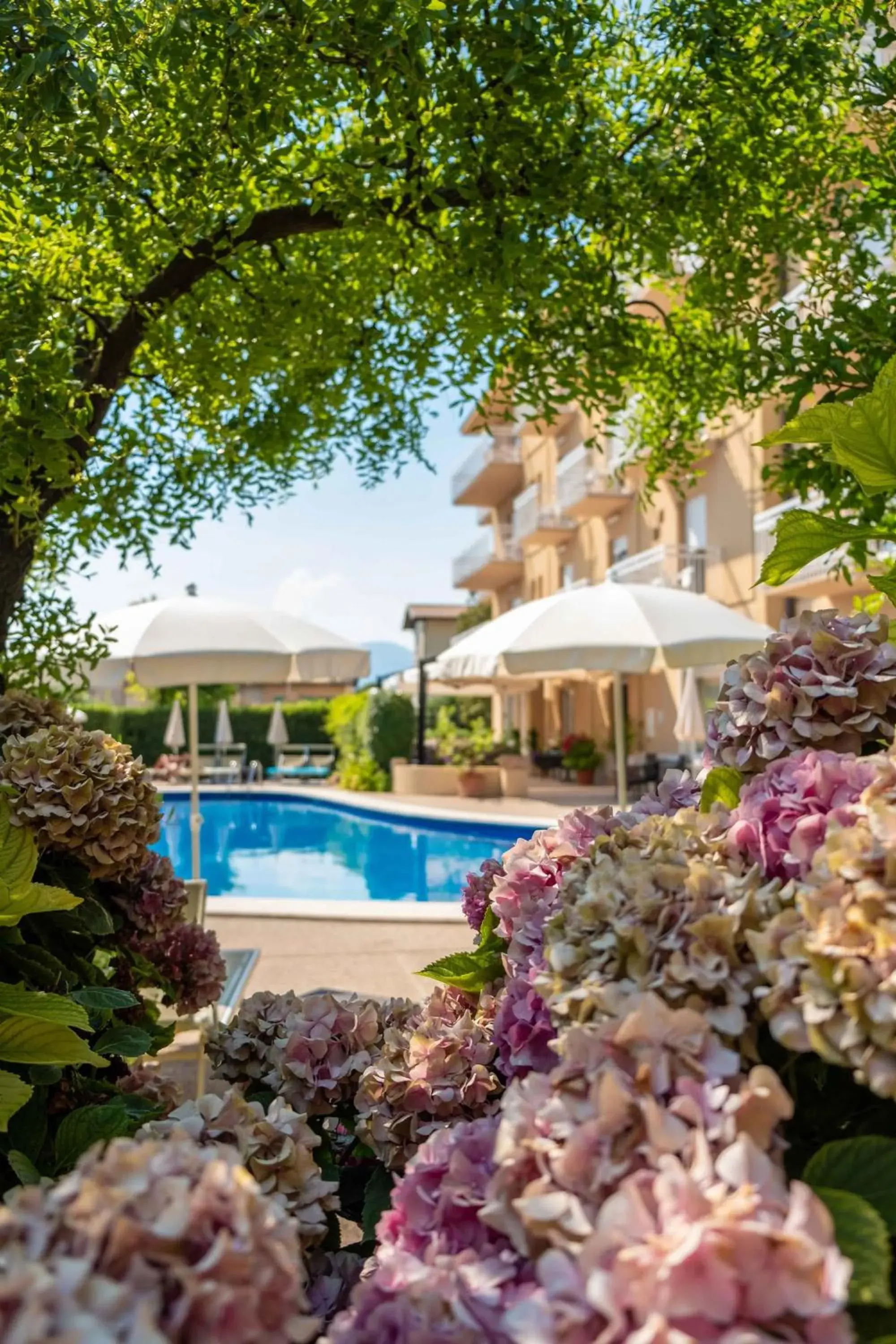 Swimming Pool in Hotel Romeo