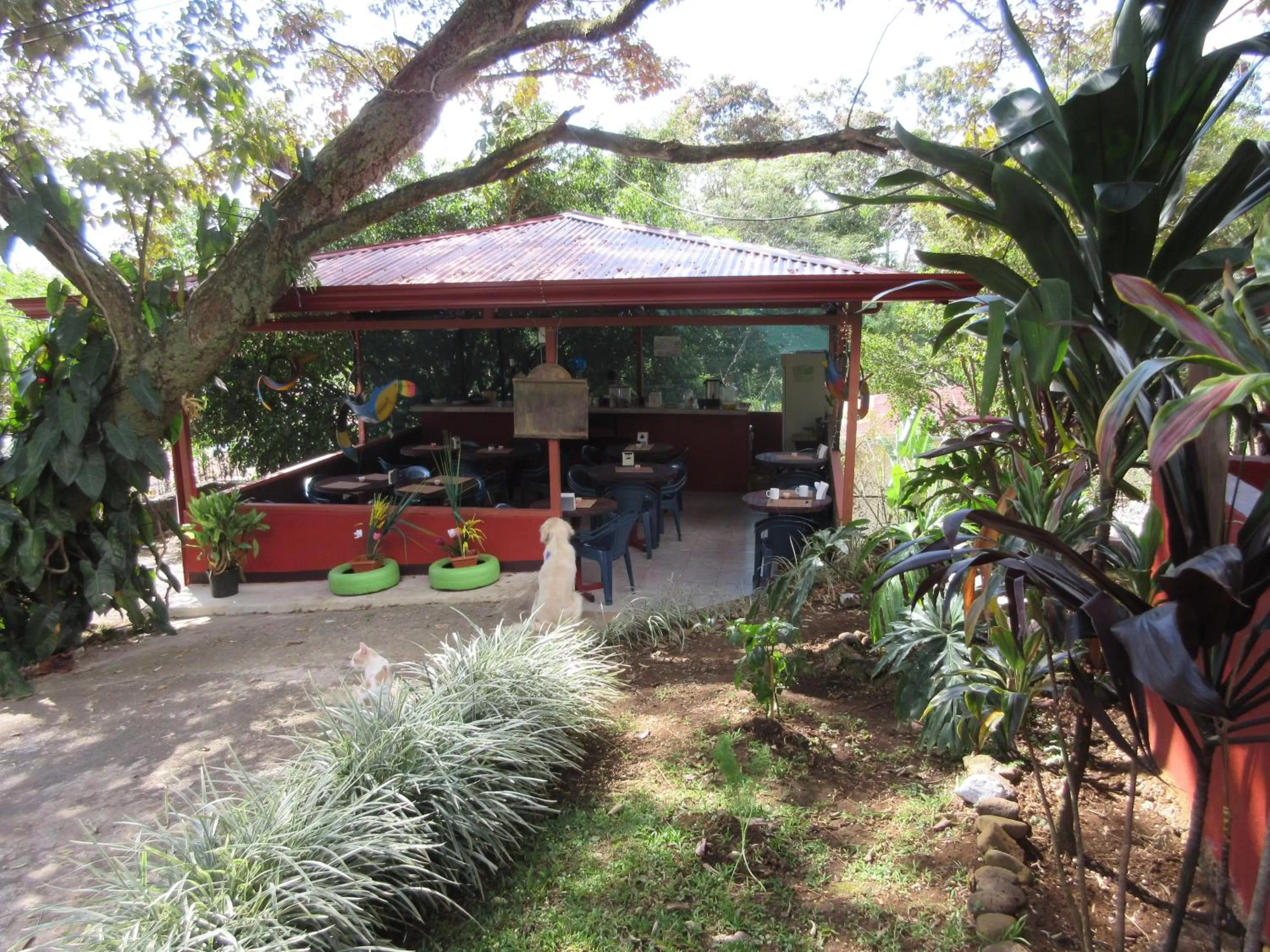 Restaurant/places to eat in ApartHotel Villa Pacande & Rooms