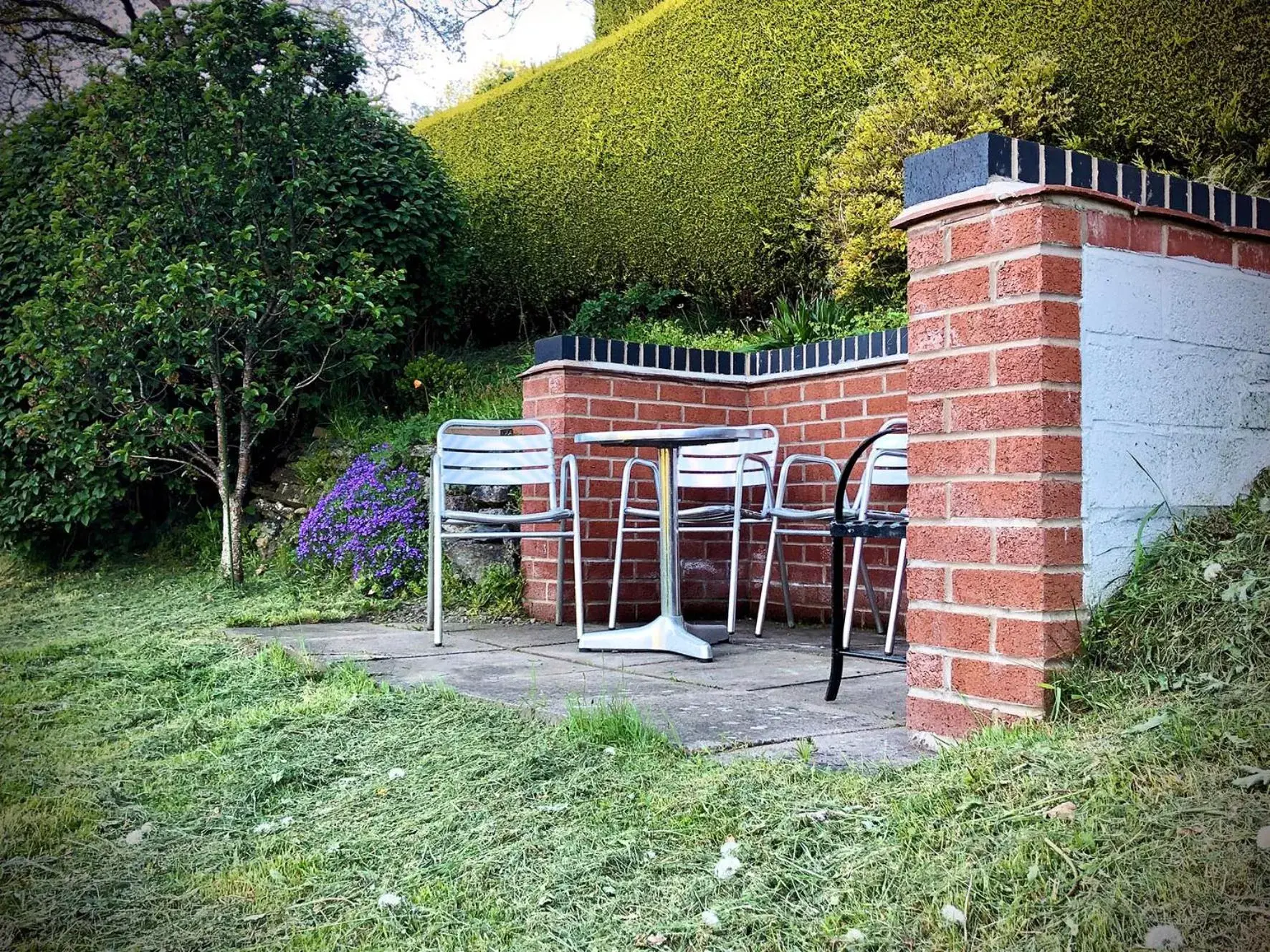 Garden in Mynd House