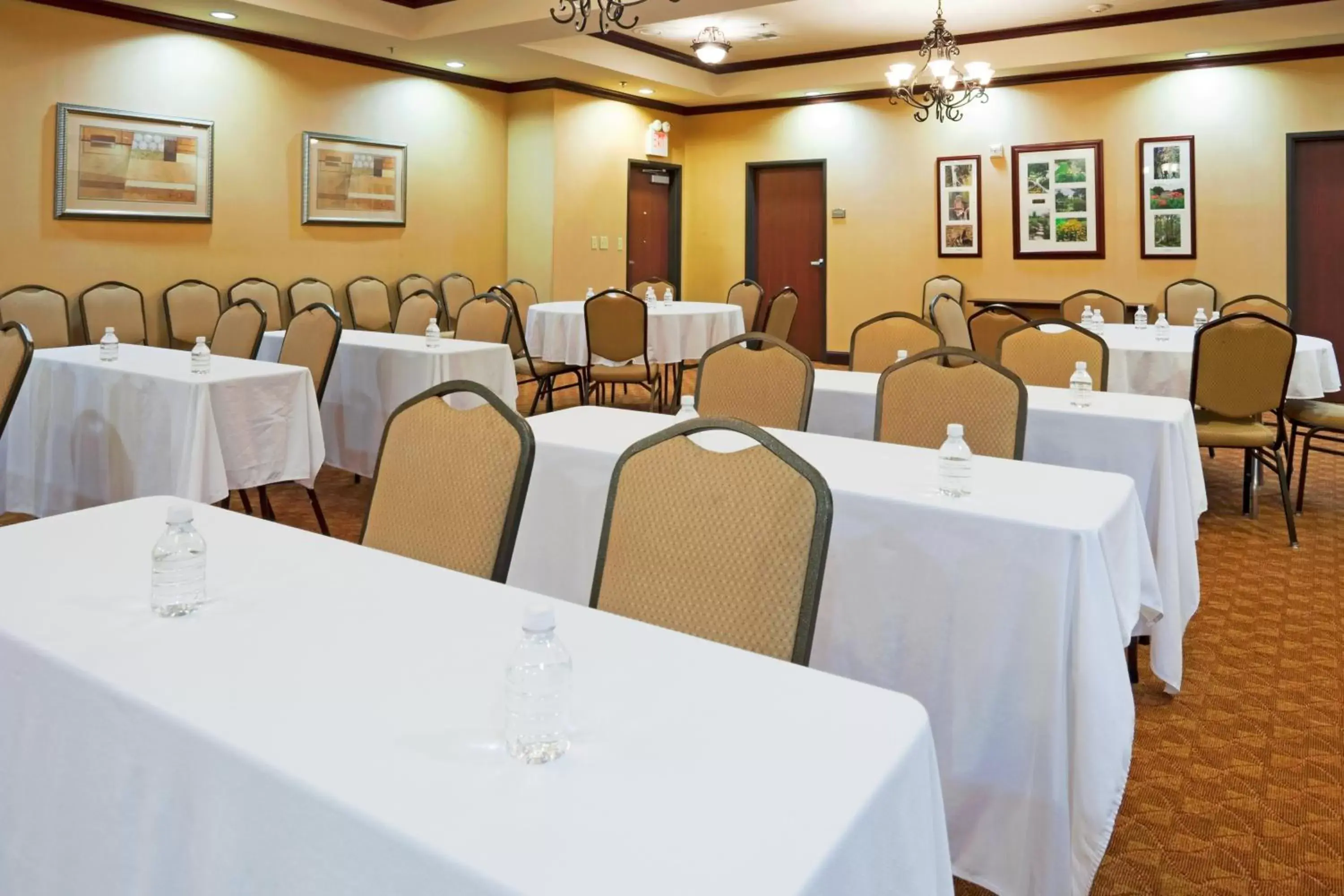 Meeting/conference room in Holiday Inn Express Hotel and Suites Athens, an IHG Hotel