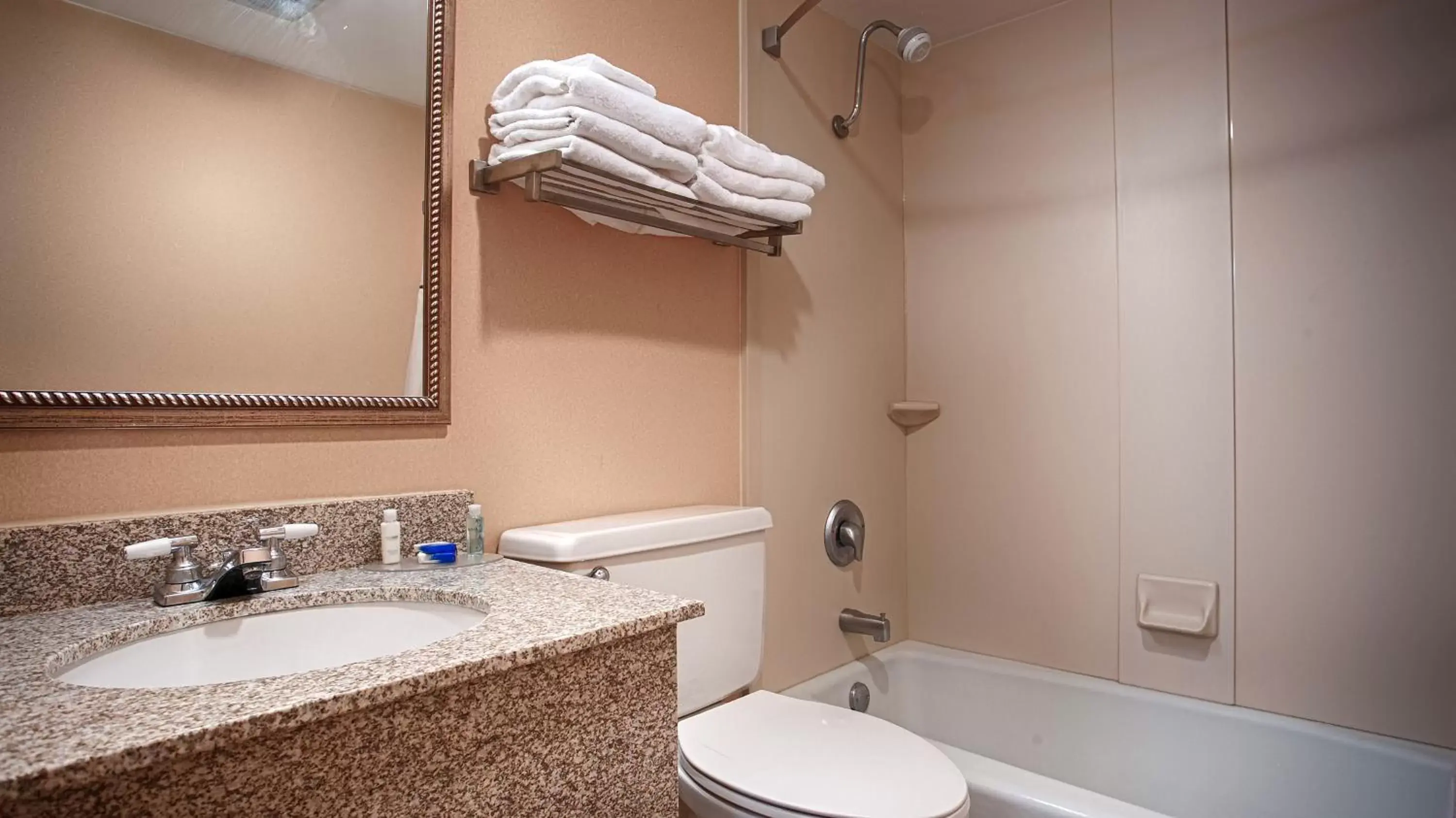 Toilet, Bathroom in Best Western Bridgeview Hotel