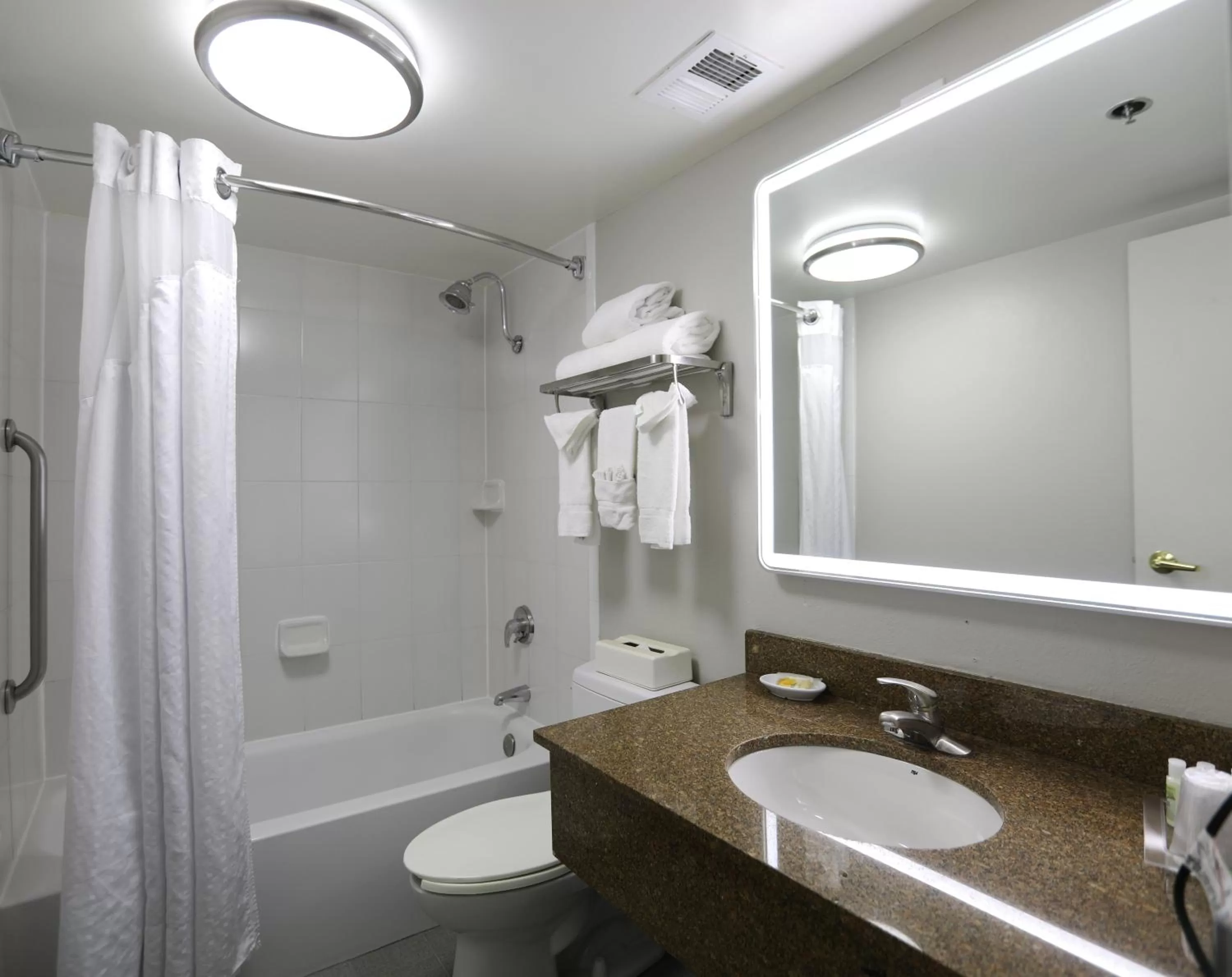 Bathroom in Holiday Inn O'Hare Area by IHG
