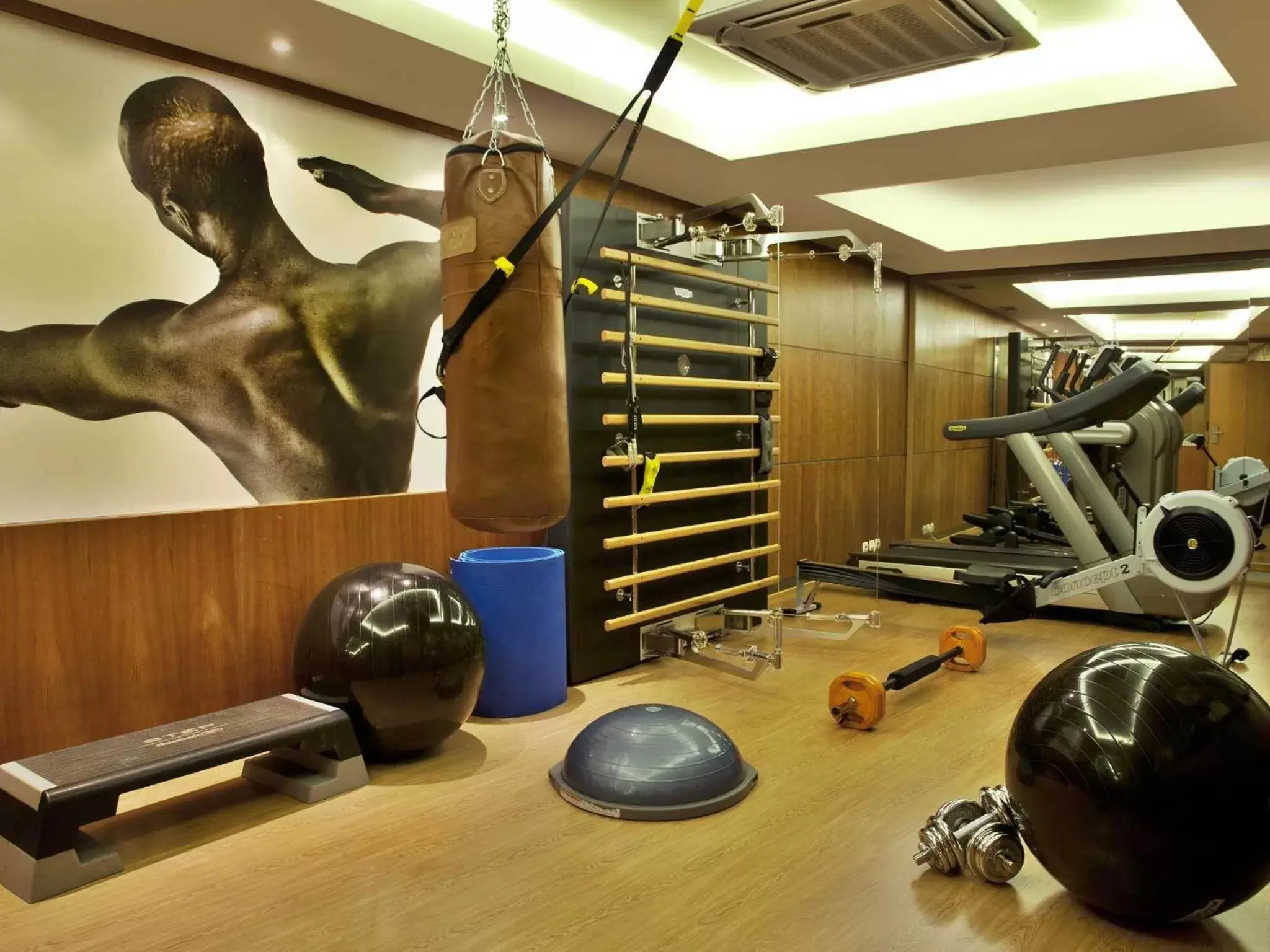 Fitness centre/facilities, Fitness Center/Facilities in TURIM Europa Hotel