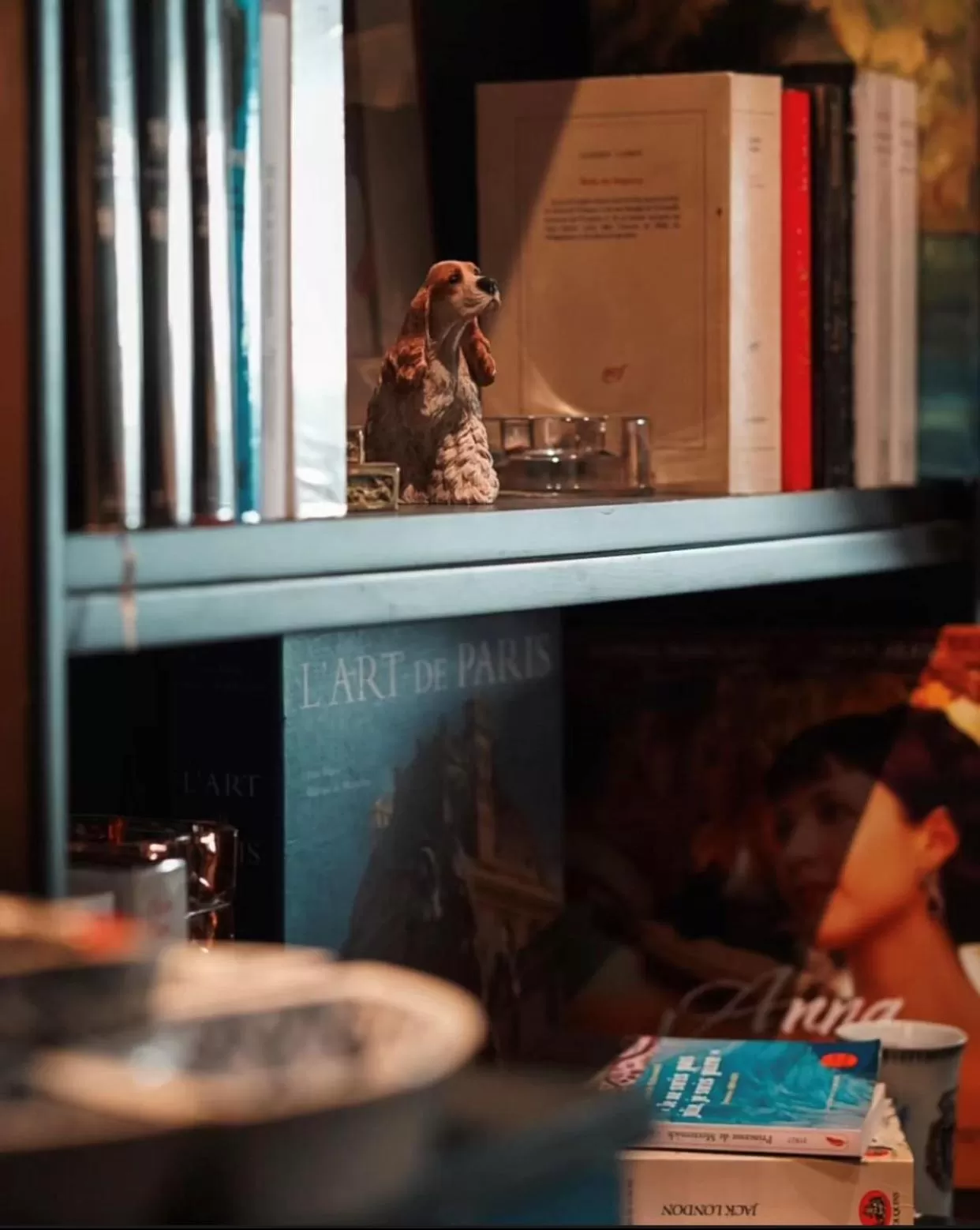 Library in Hôtel & SPA Le Chêne Vert