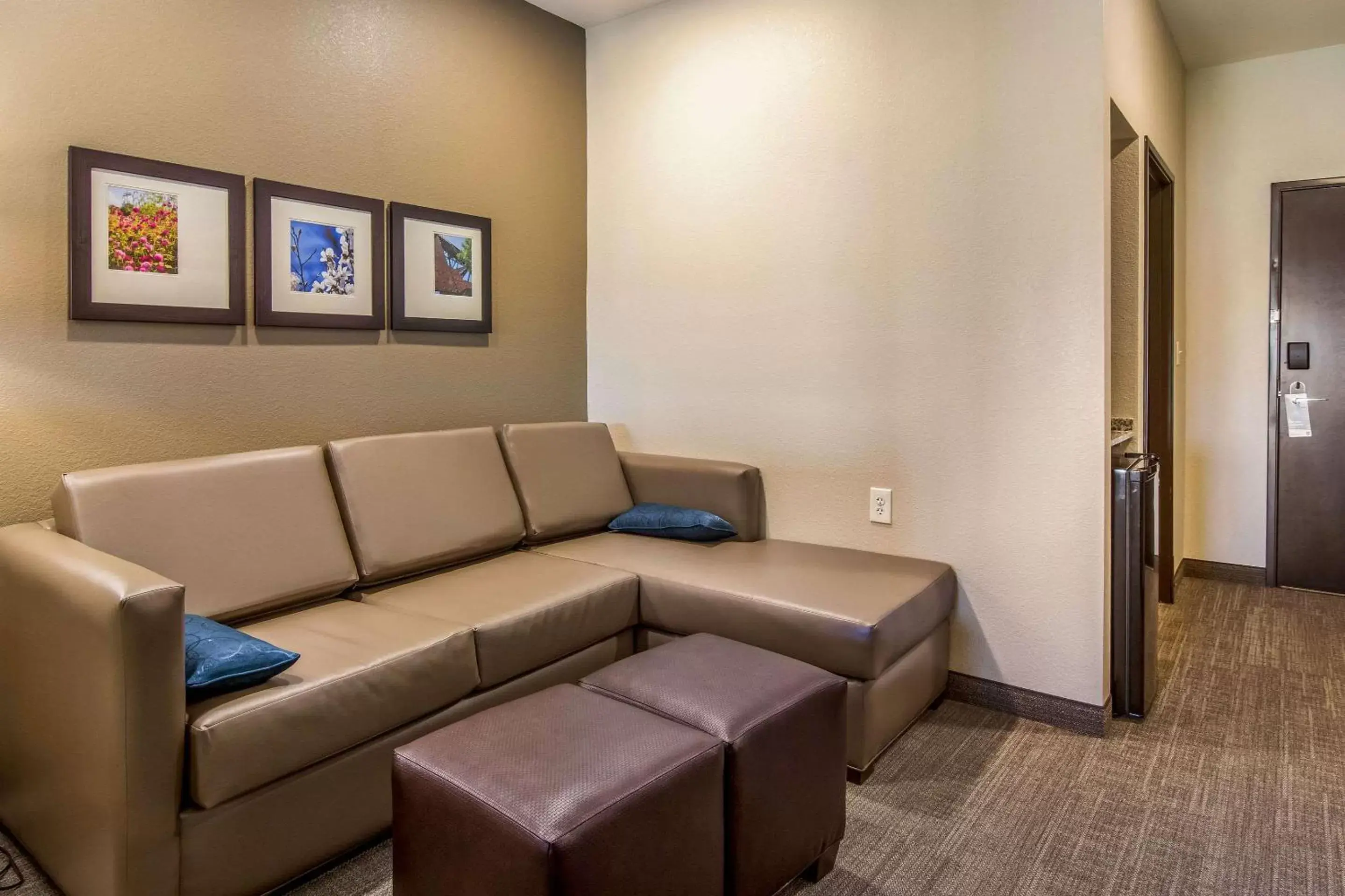 Photo of the whole room, Seating Area in Comfort Suites