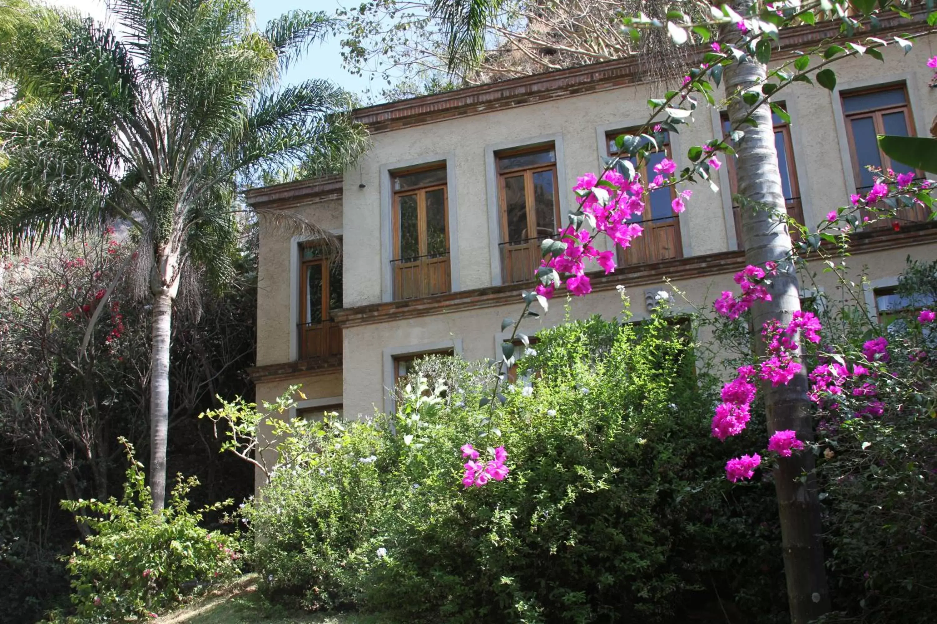 Property Building in Casa Alamillo Hotel Boutique