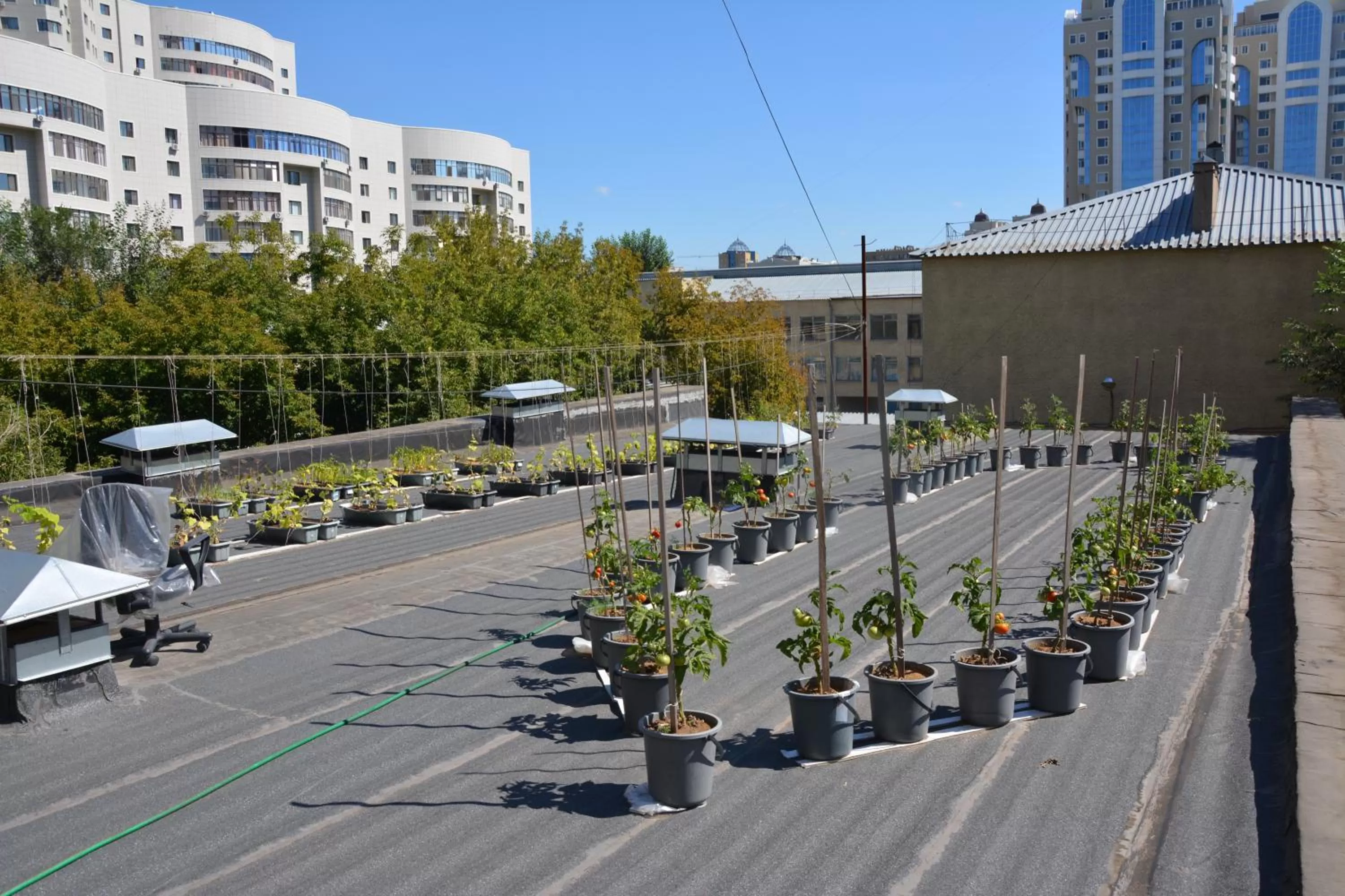 Bird's eye view in Brown Hotel