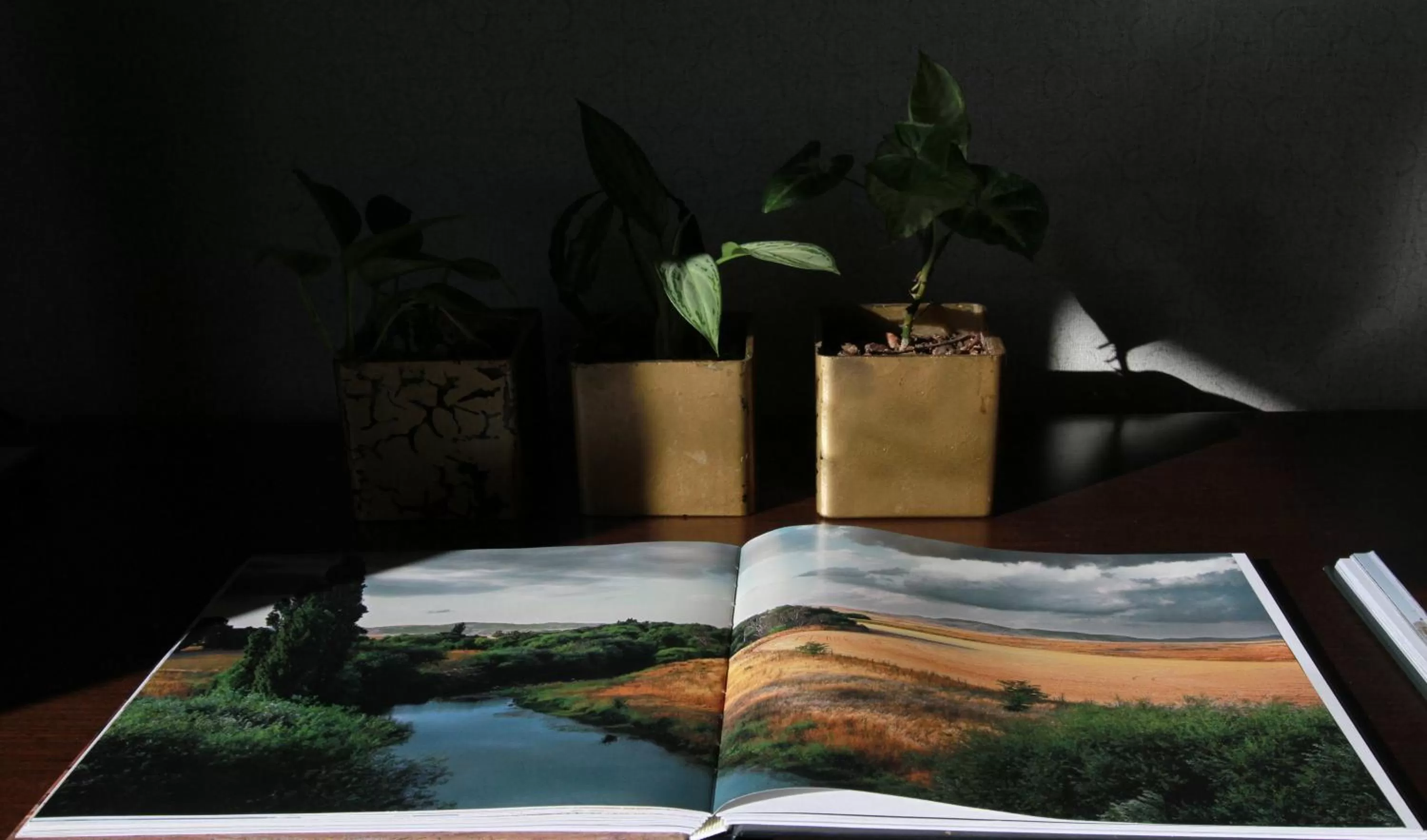 Other in Panoramic Grand - Iguazú