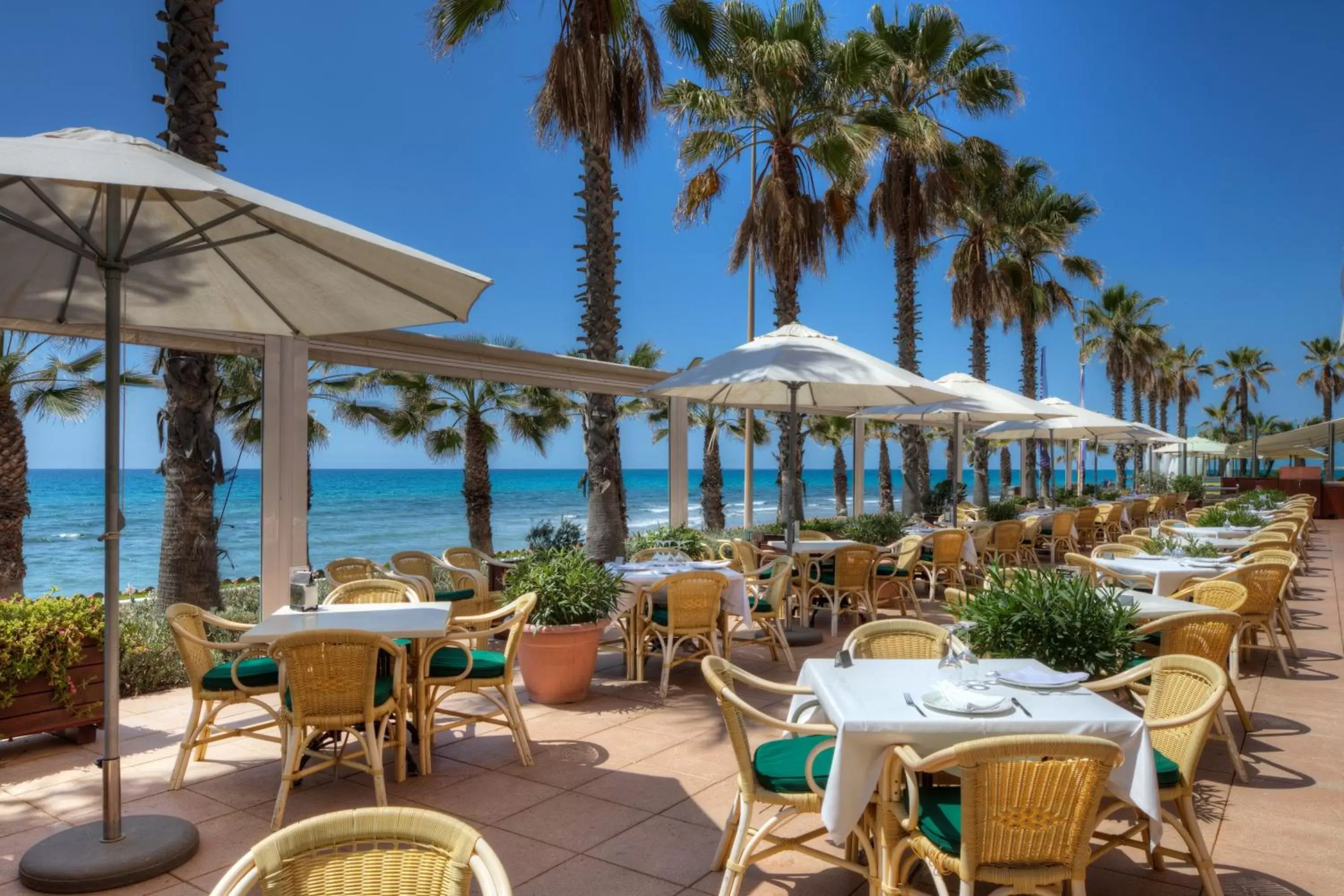 Food and drinks, Restaurant/Places to Eat in Sunway Playa Golf & Spa Sitges