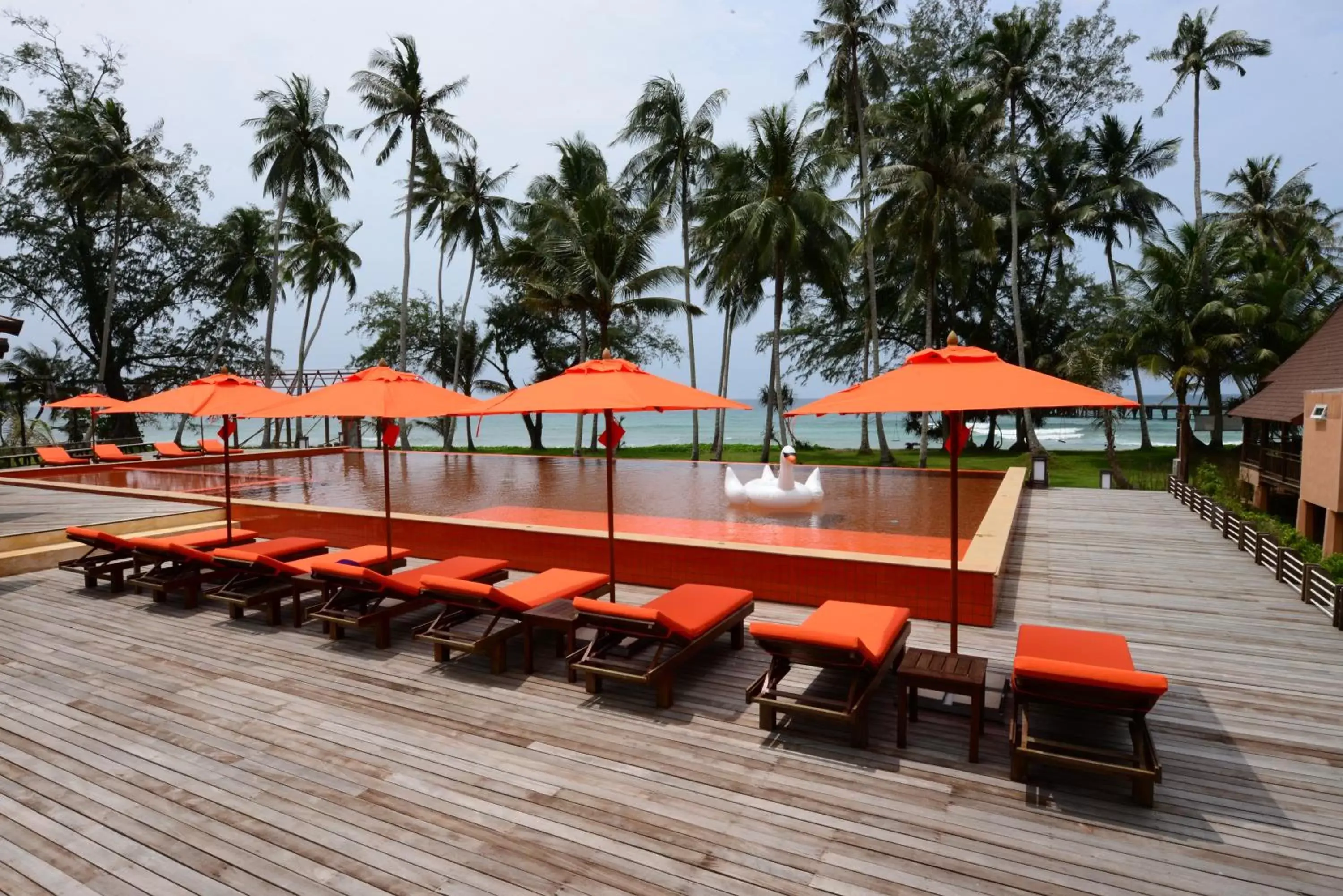 Swimming pool, Patio/Outdoor Area in Koh Kood Paradise Beach