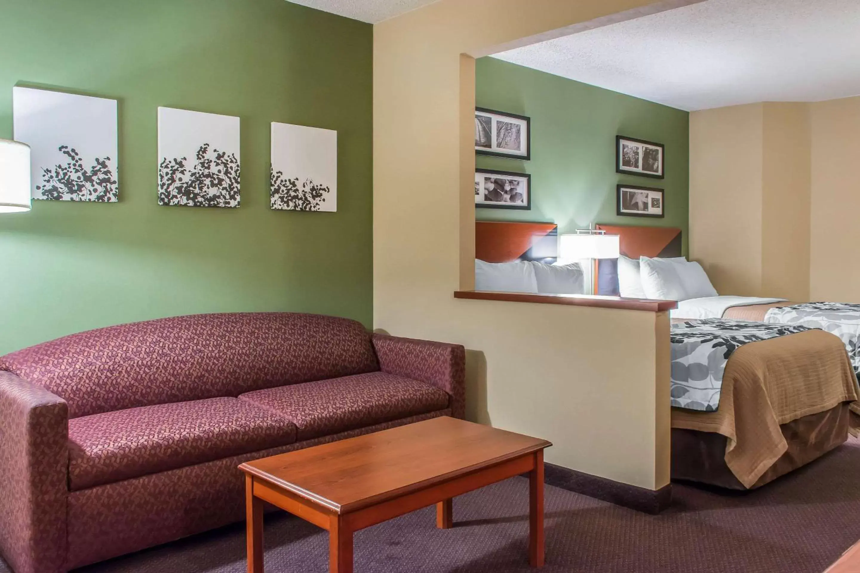 Photo of the whole room, Seating Area in Sleep Inn & Suites Mountville