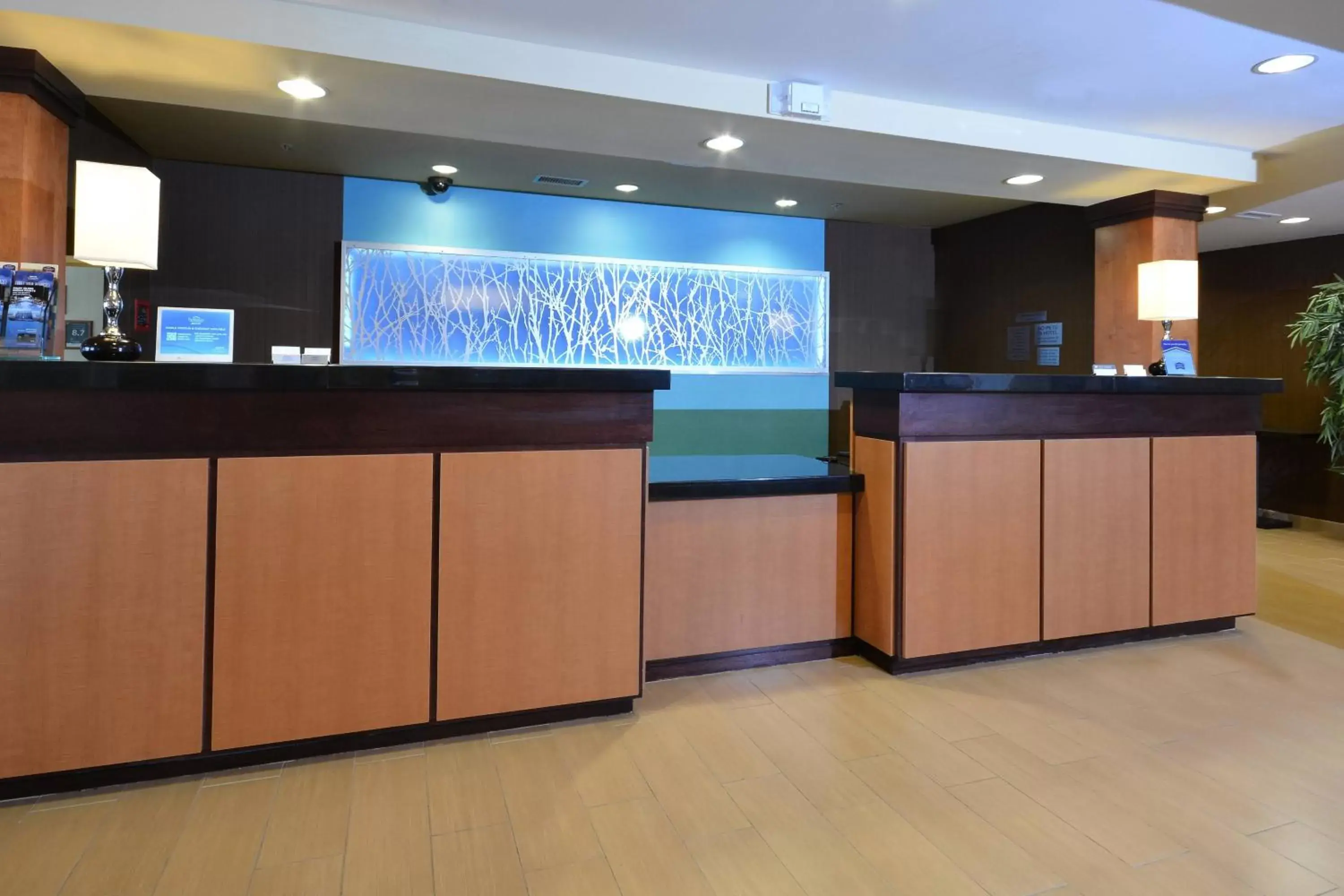 Lobby or reception, Lobby/Reception in Fairfield Inn & Suites Wytheville