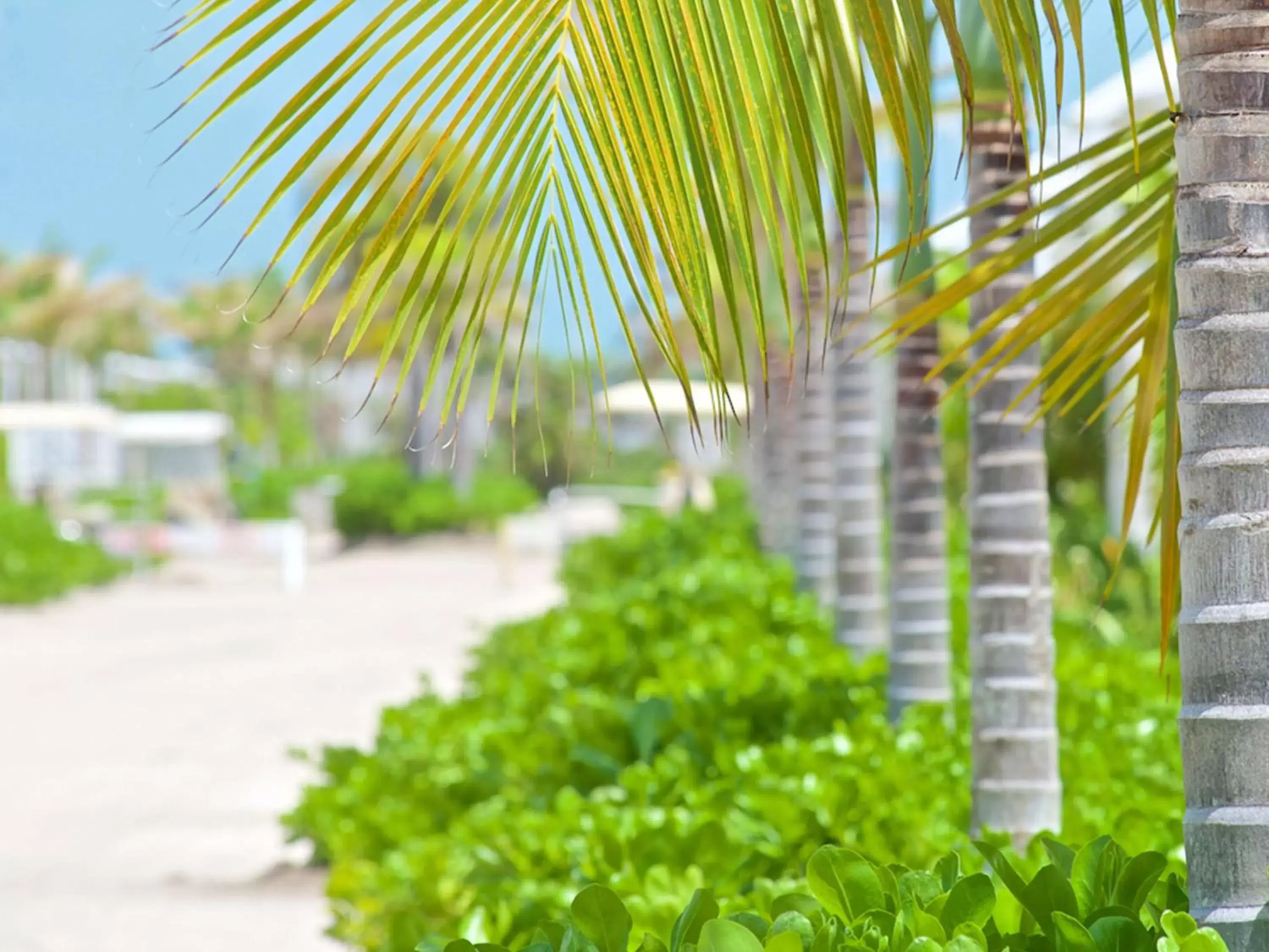 Property building in Mahogany Bay Resort and Beach Club, Curio Collection