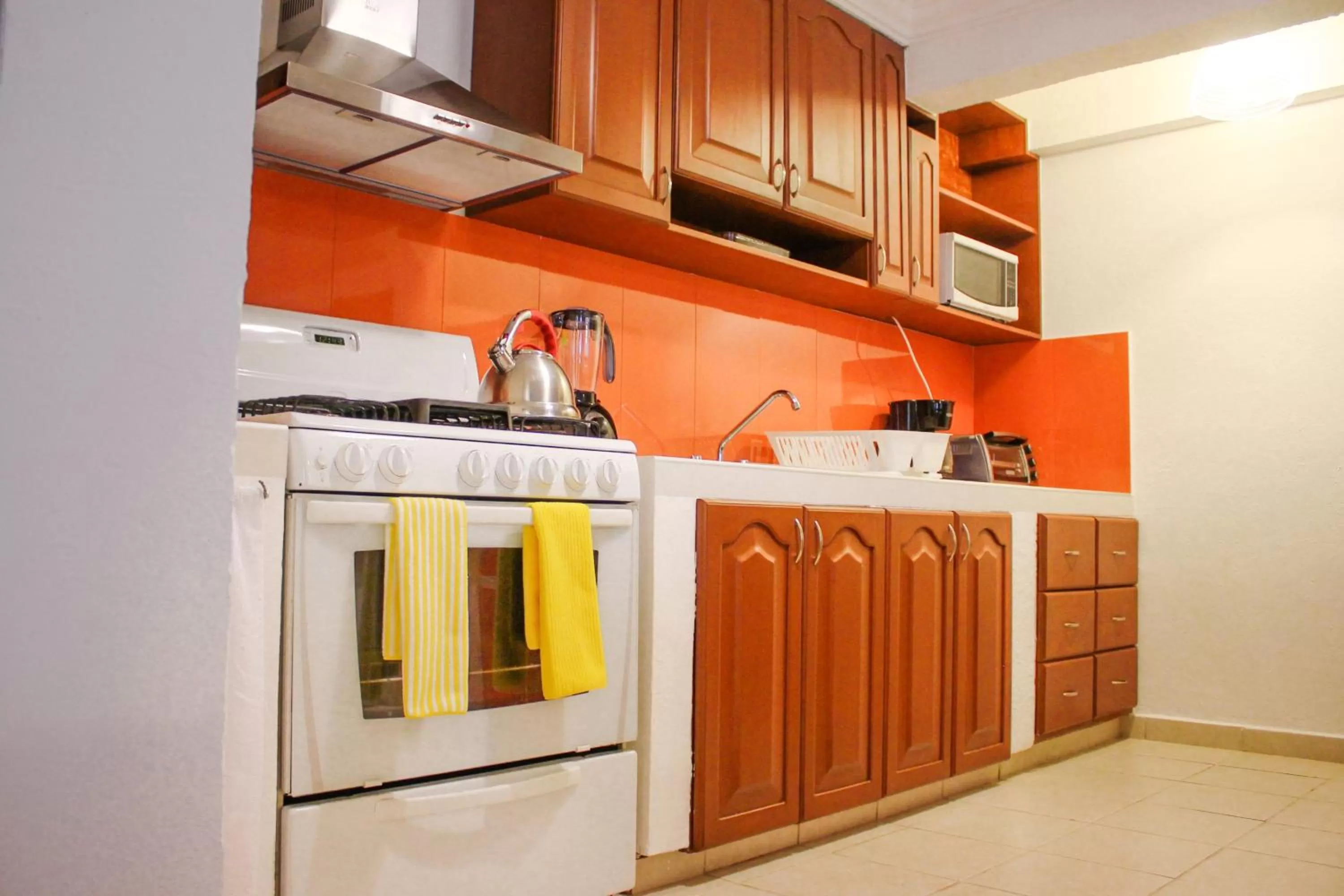 Kitchen or kitchenette in Hotel Villas Colibrí Suites & Bungalows